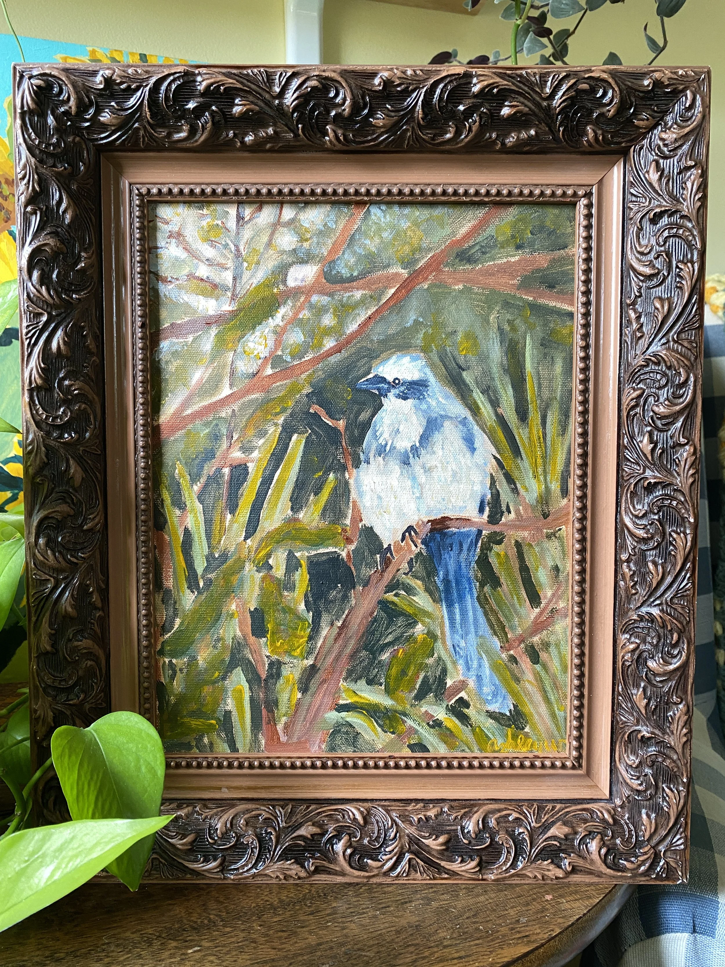 'Florida Scrub Jay" | 7-11-2026 | Acrylic | 12"x10"