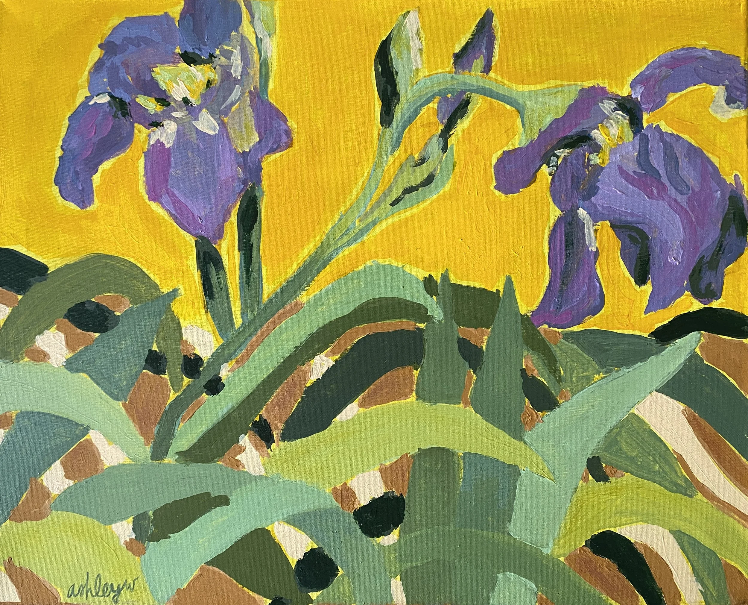 "Irises" 
05-12-2025
Acrylic on Canvas 
16'x20"