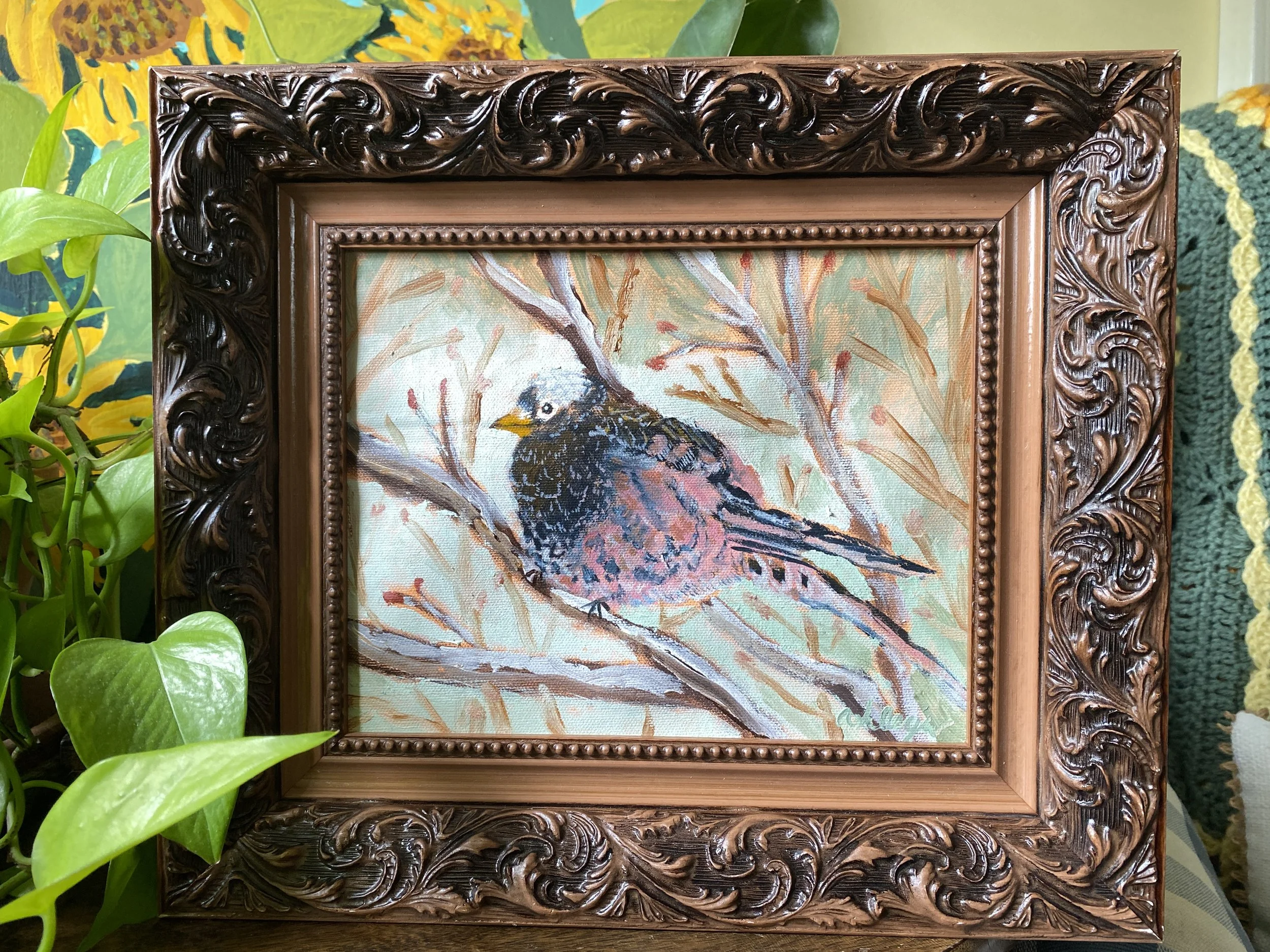 "Black Rosy Finch" | 7-18-2026 | Acrylic | 8"x10"