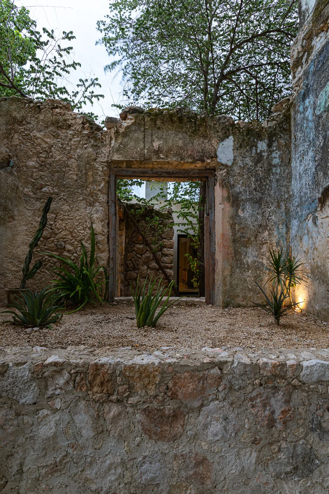 Old stone building ruins with plants growing inside and outside. A door opening reveals more ruins and greenery beyond.