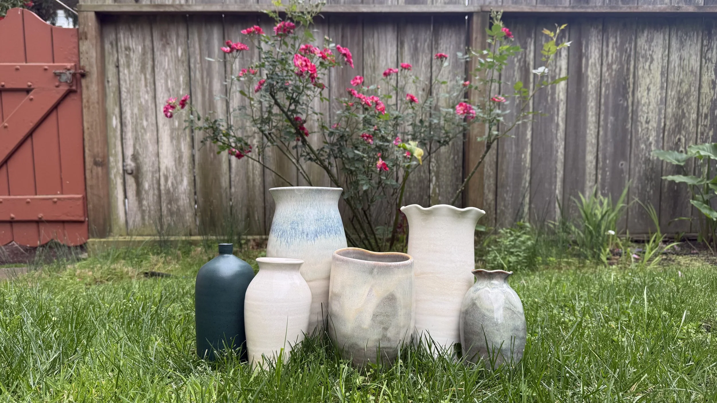 Various ceramic vases and pots arranged on grass in a backyard, with a pink flowering shrub and wooden fence in the background.