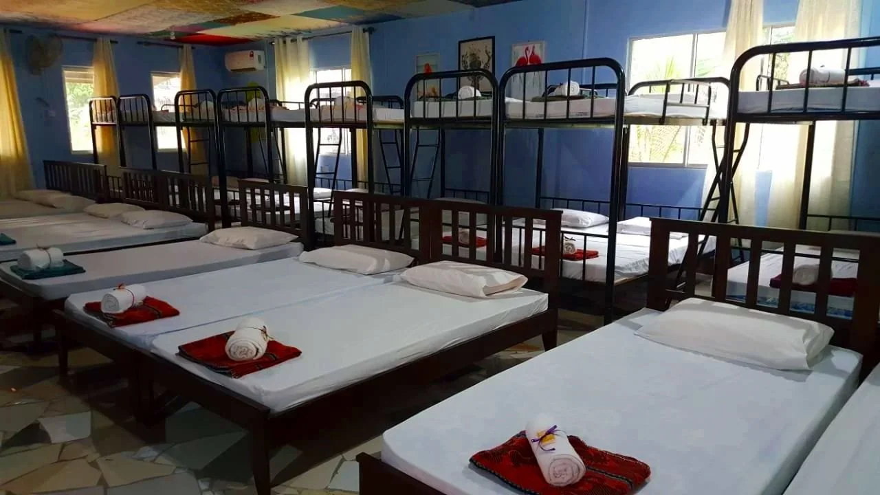 A room with multiple beds and bunk beds, each prepared with white sheets and a rolled towel on a red cloth. The room has blue walls, windows with yellow curtains, and colorful artwork on the walls.