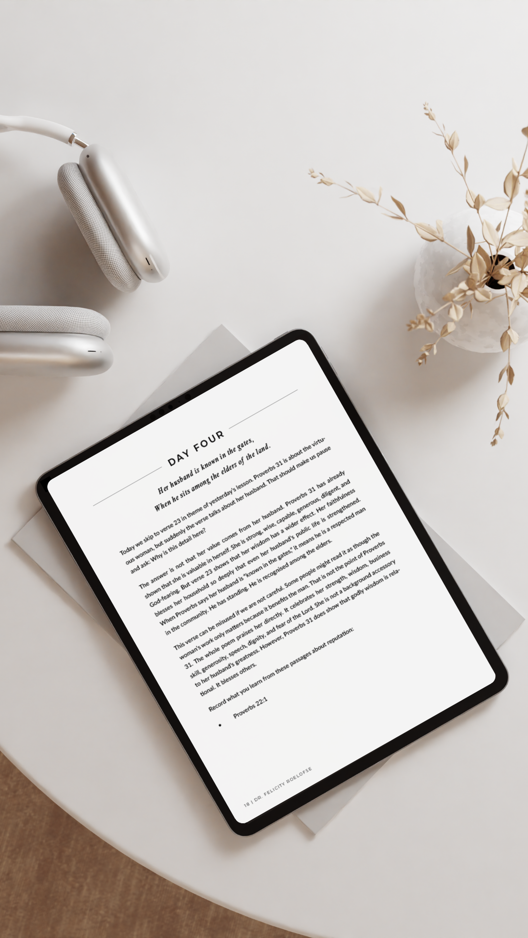 prov31_mockup001.png