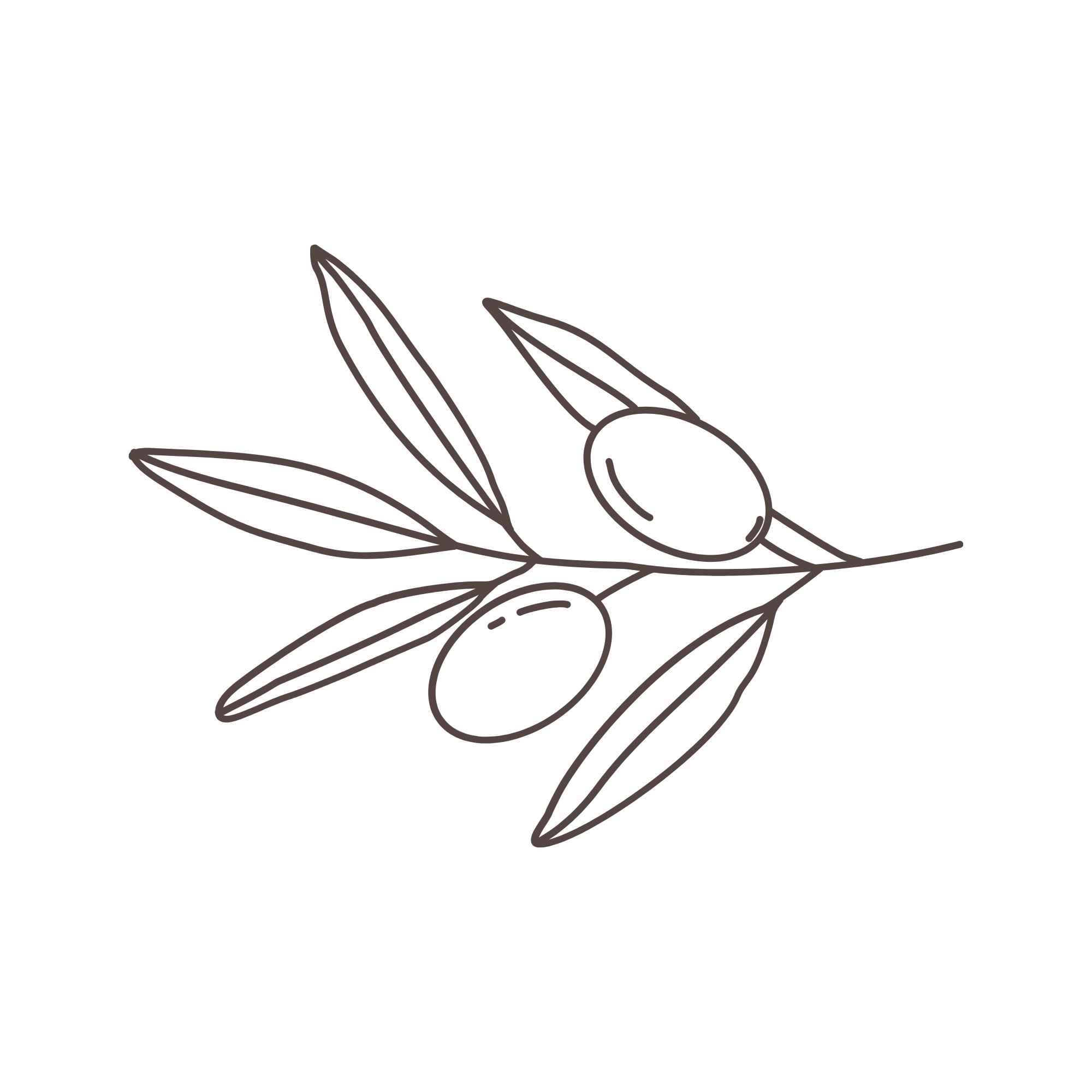 Outline drawing of a sprouting plant with leaves and roots.