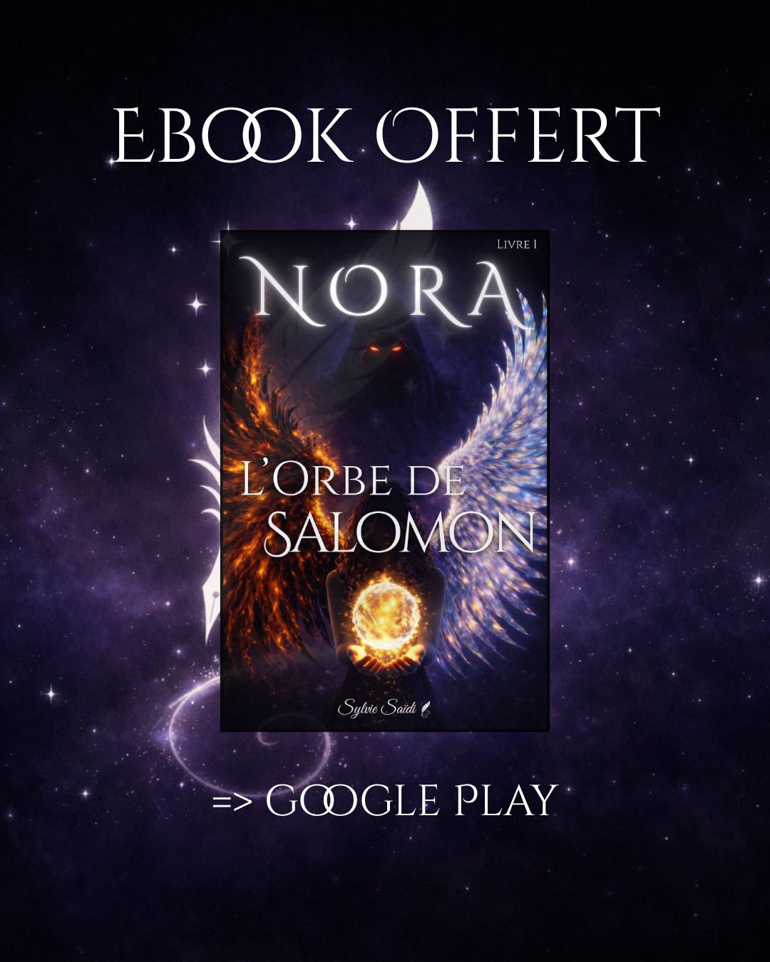 Page promotionnelle pour un livre numérique offert, intitulé "L'orbe de Salomon" de Nora, avec une image de fond de ciel étoilé, une figure sombre avec des ailes de feu et de glace, tenant une sphère lumineuse.
