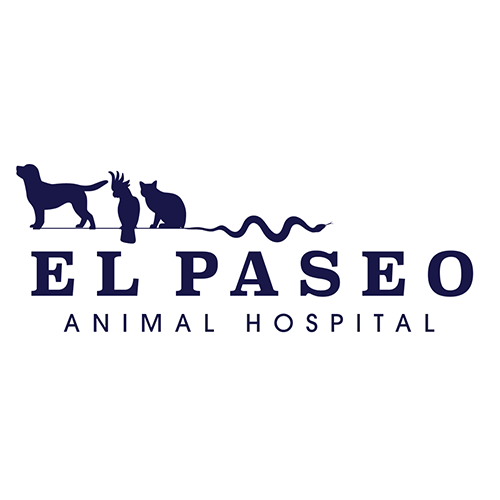 El Paseo Animal Hospital