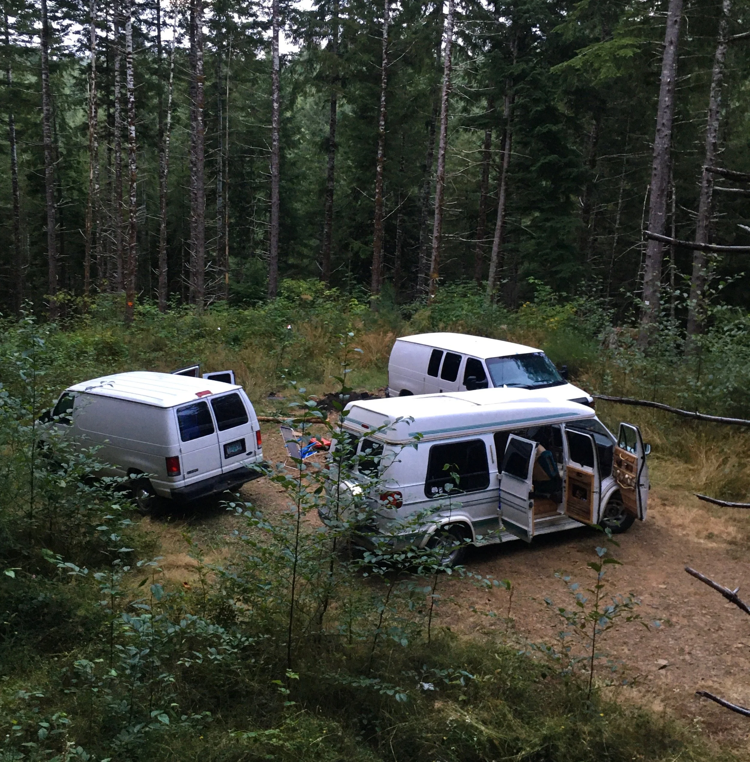 Camping Vans in the forest of the North Oregon Coast