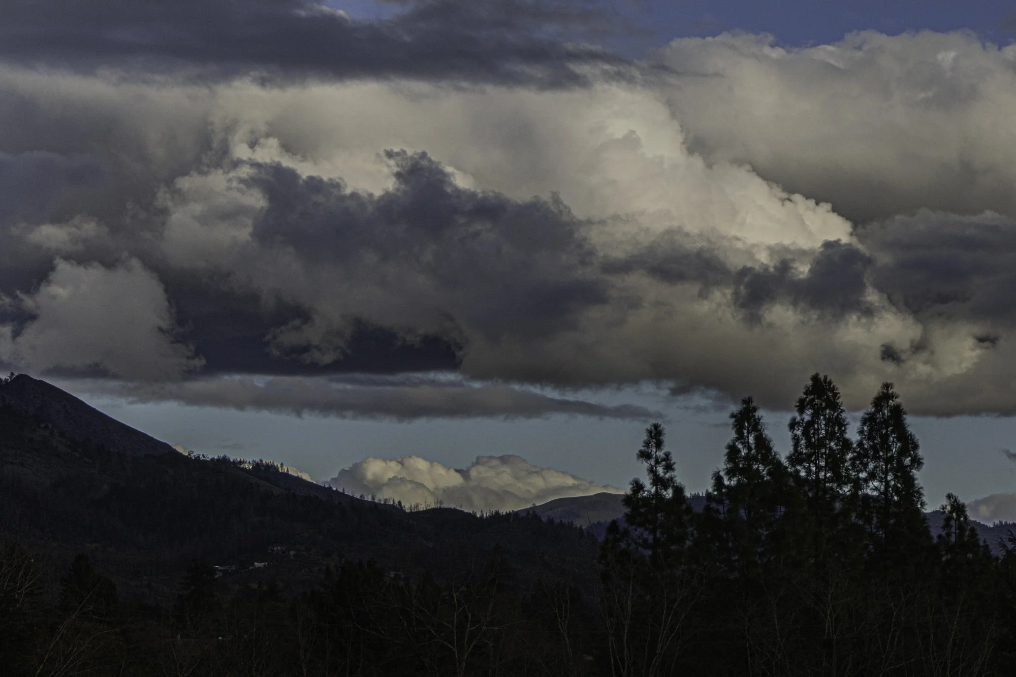 Landscape color-28.jpg