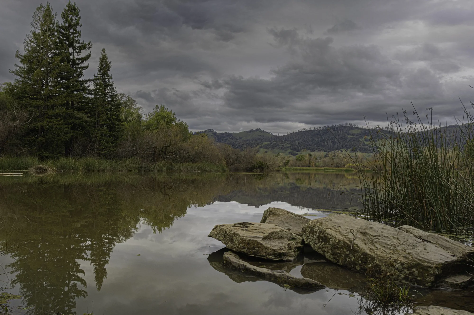 Landscape color-27.jpg