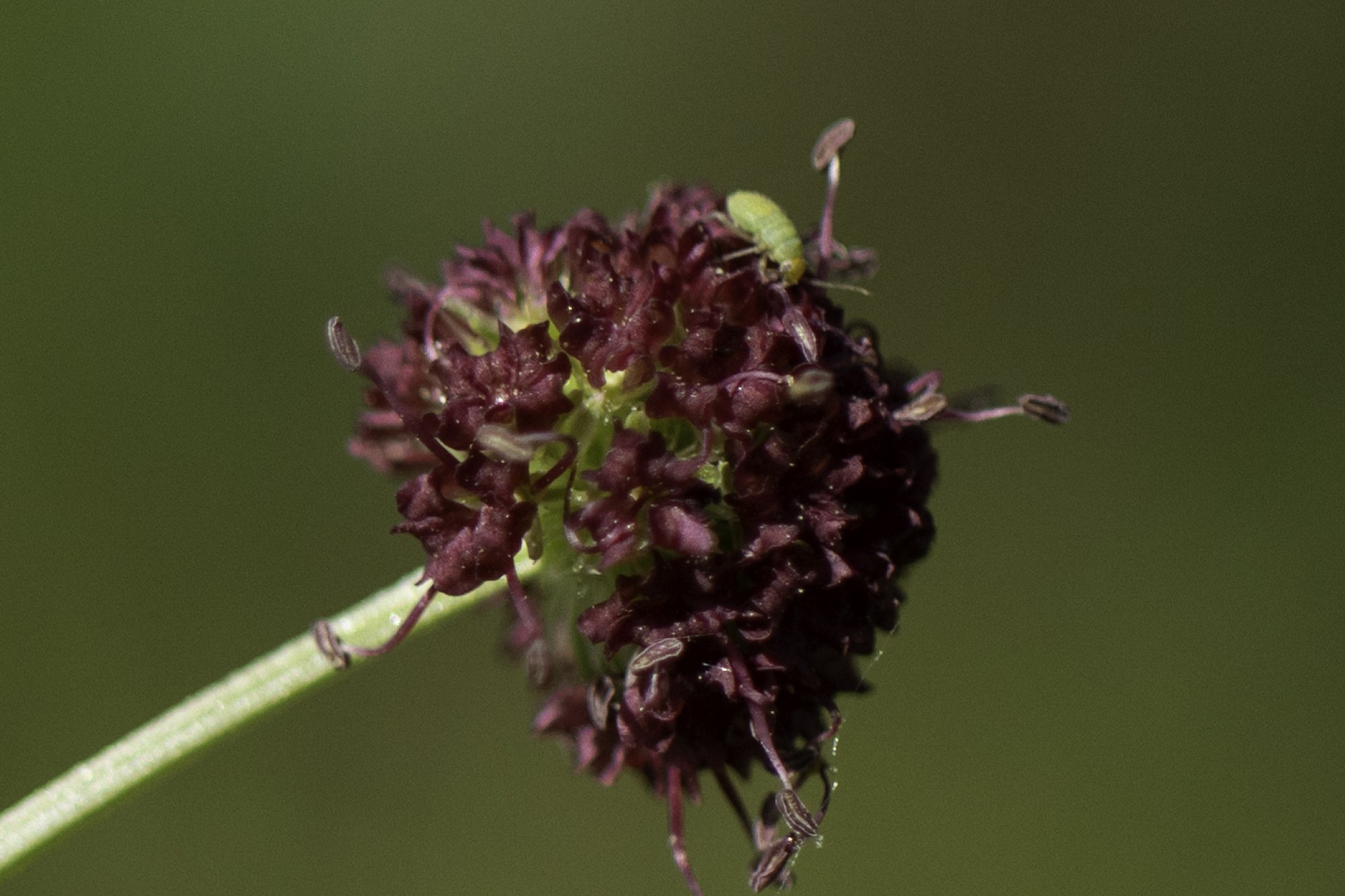 web.steigmann.40-3.jpg