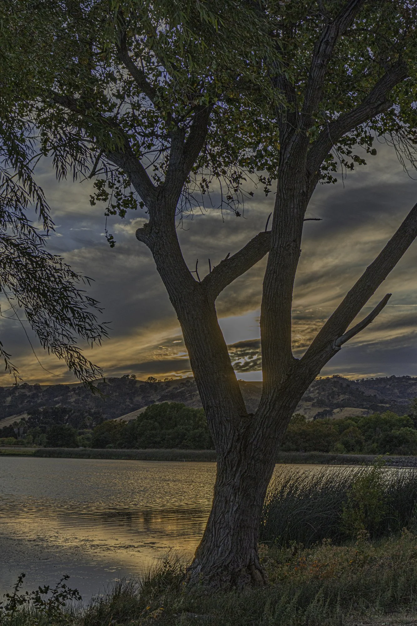 Landscape color-3.jpg