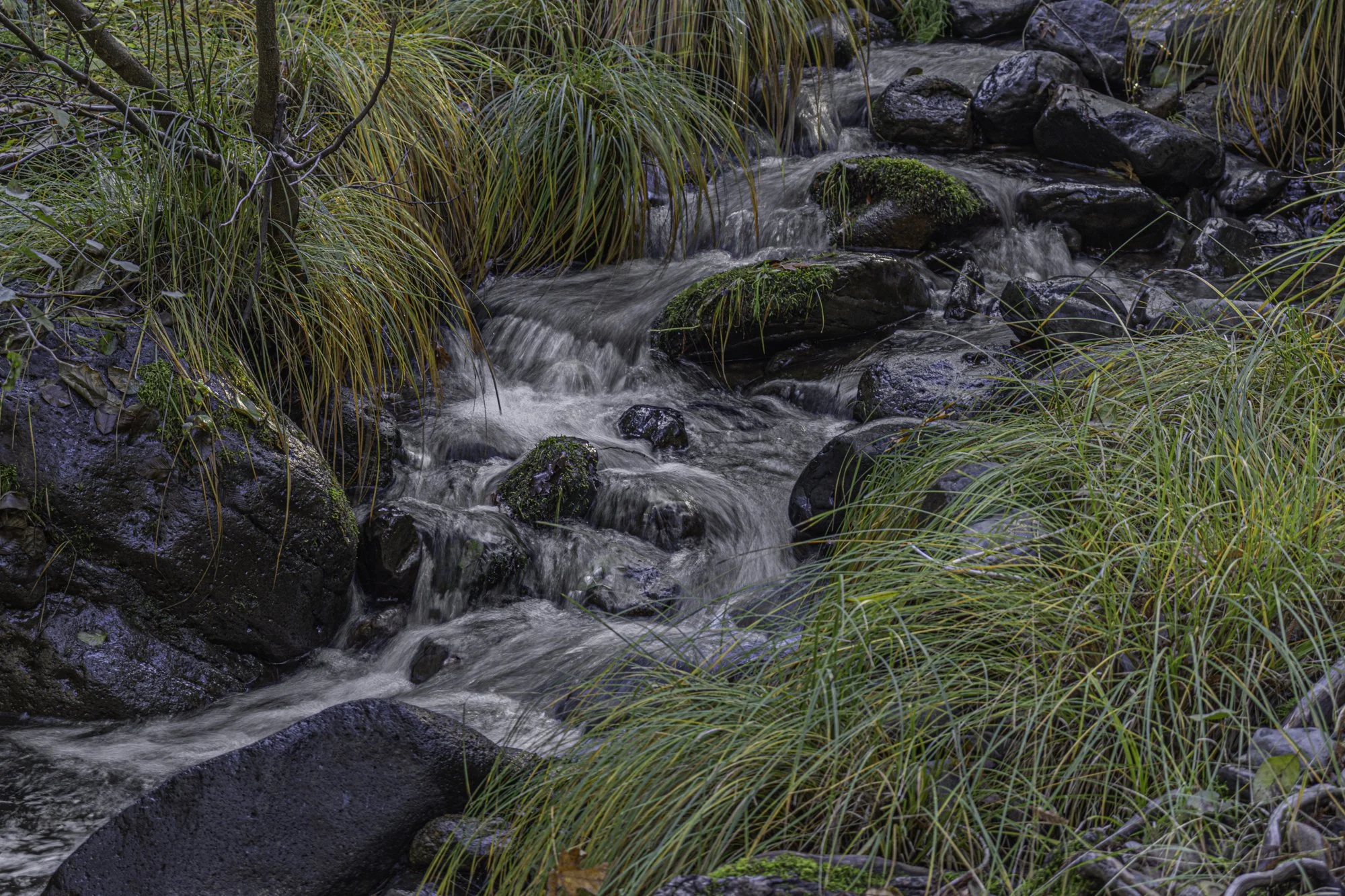 Landscape color-13.jpg
