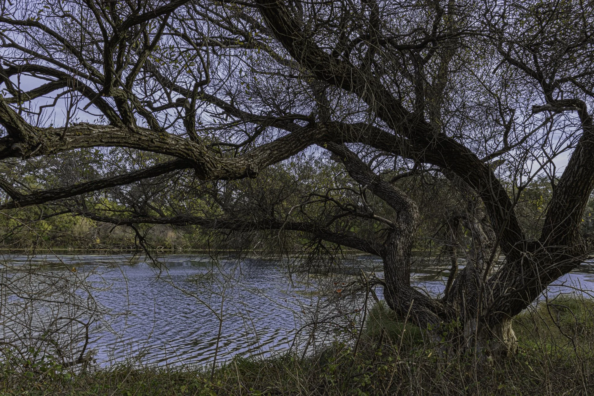 Landscape color-15.jpg