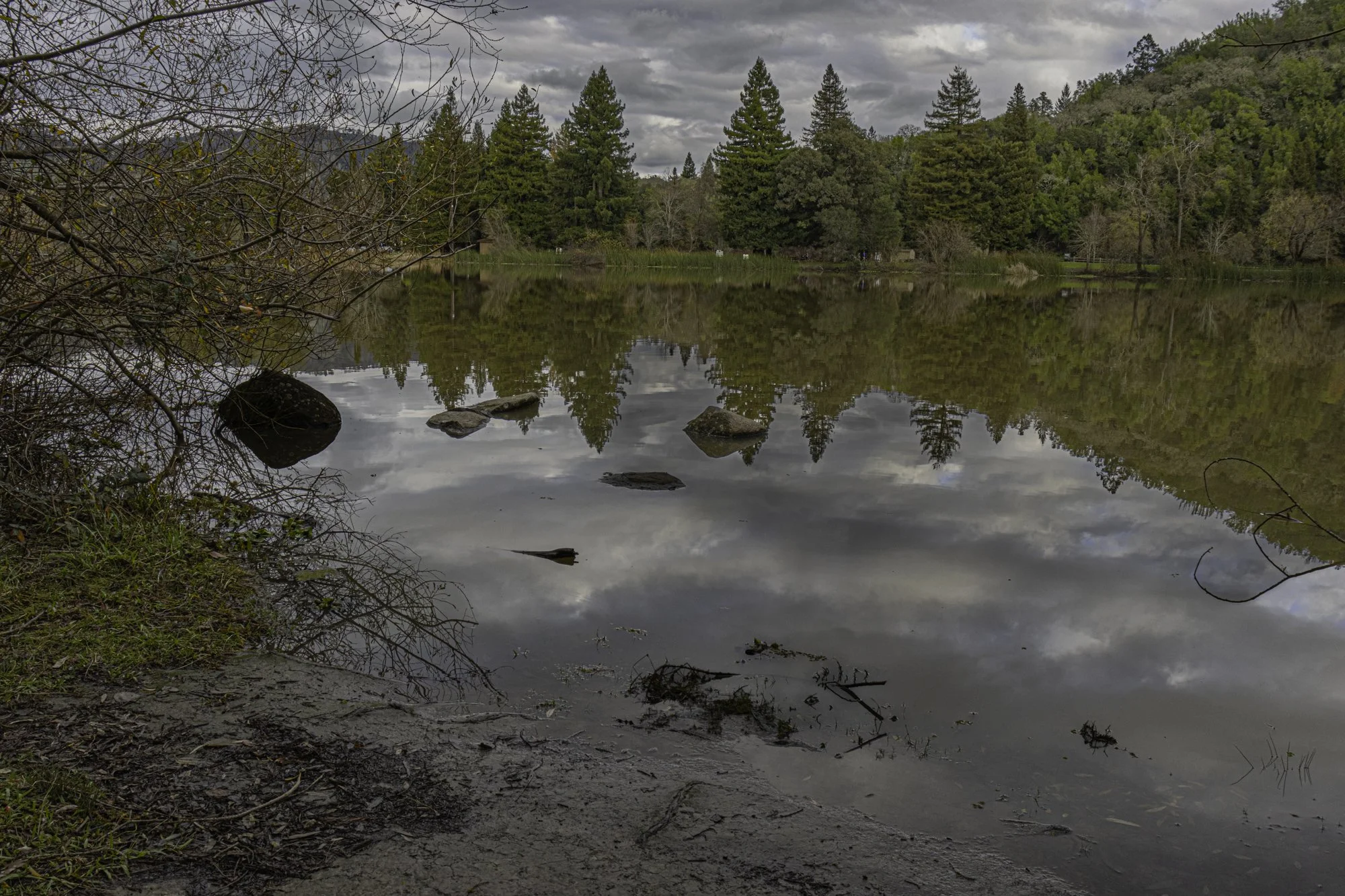 Landscape color-26.jpg