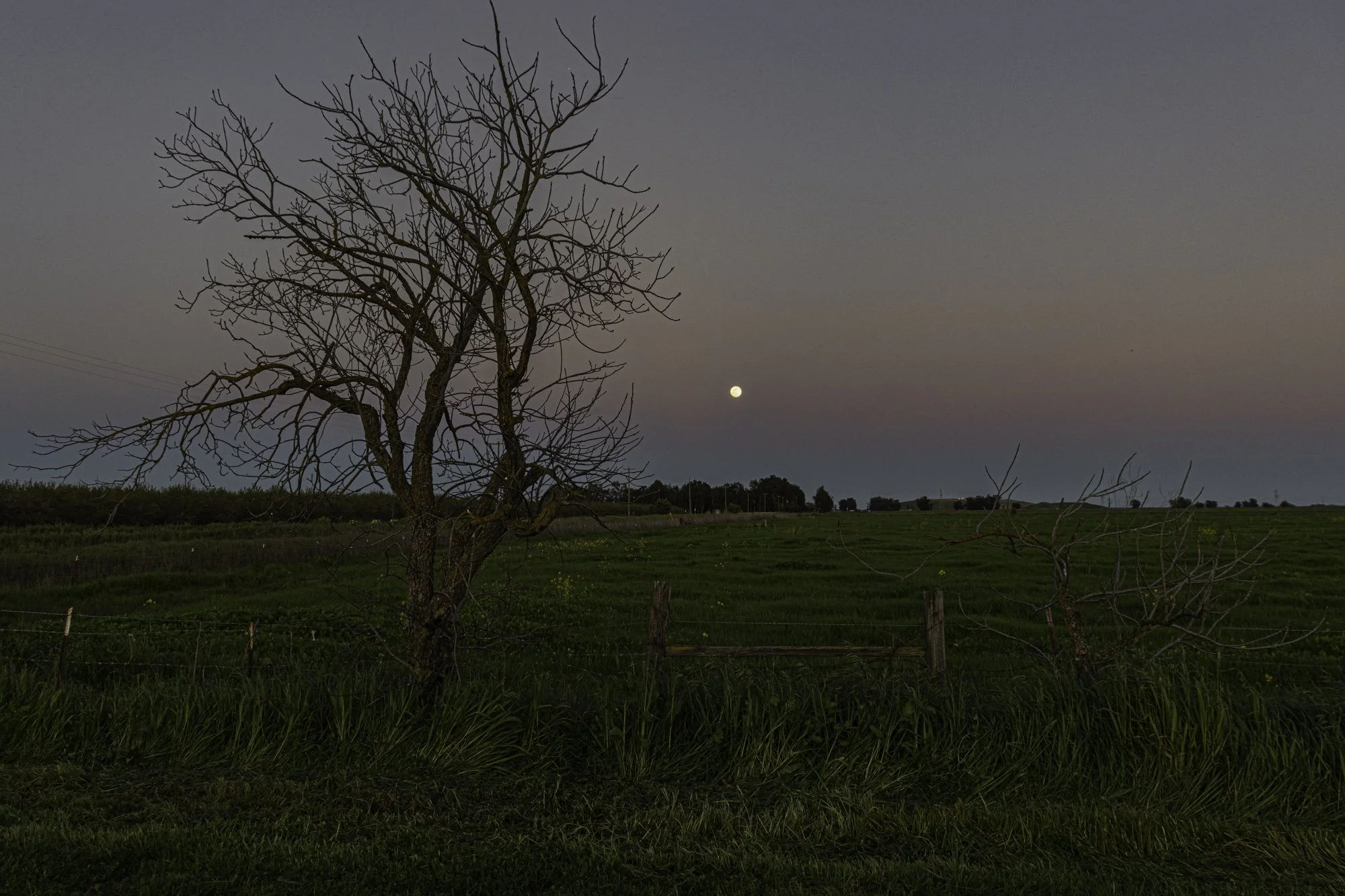 Landscape color-49.jpg