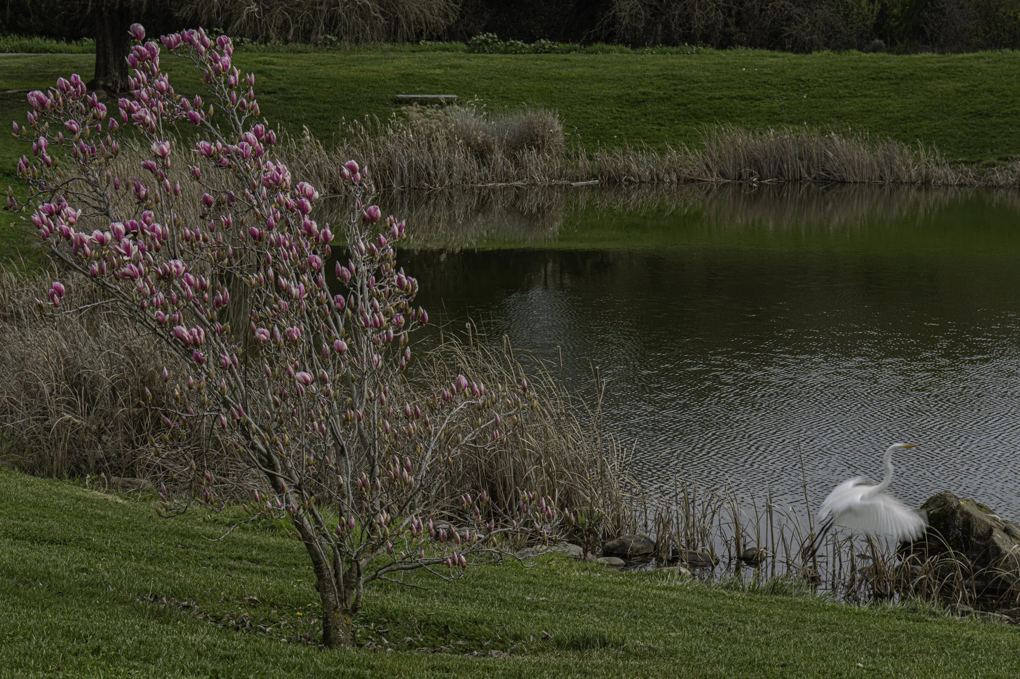 Landscape color-45.jpg