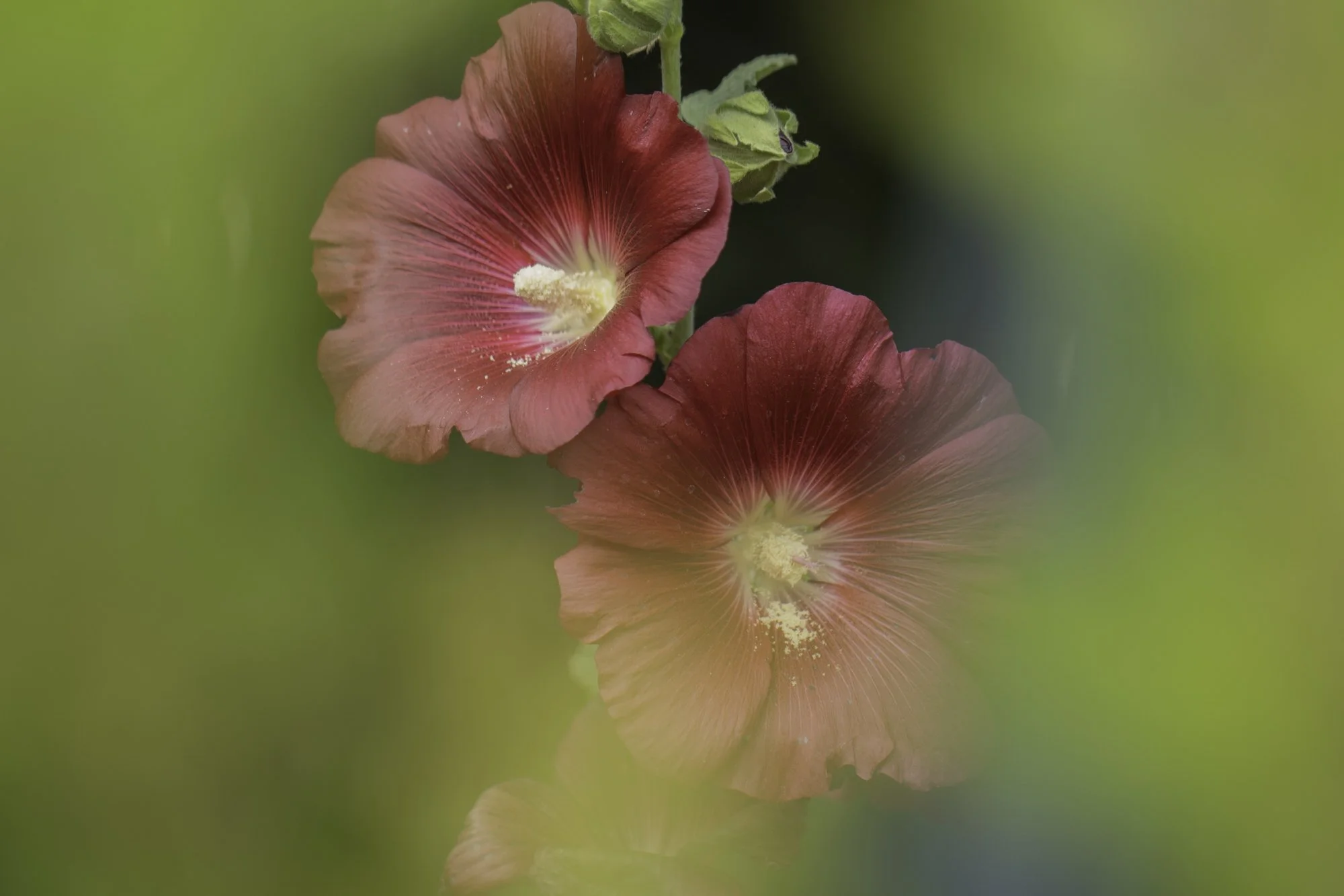 fsteigmann_portfolio-3.jpg