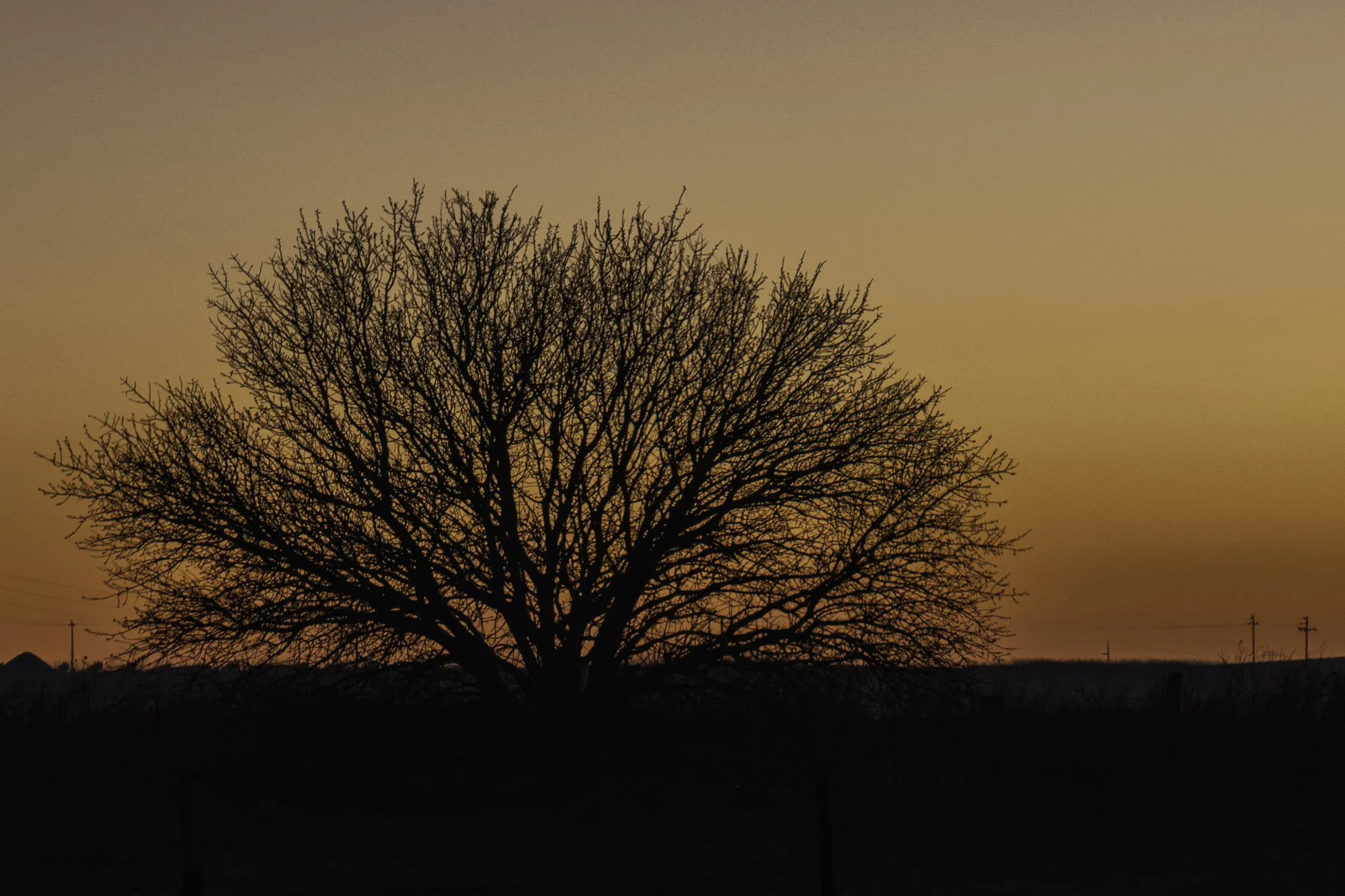 Landscape color-21.jpg