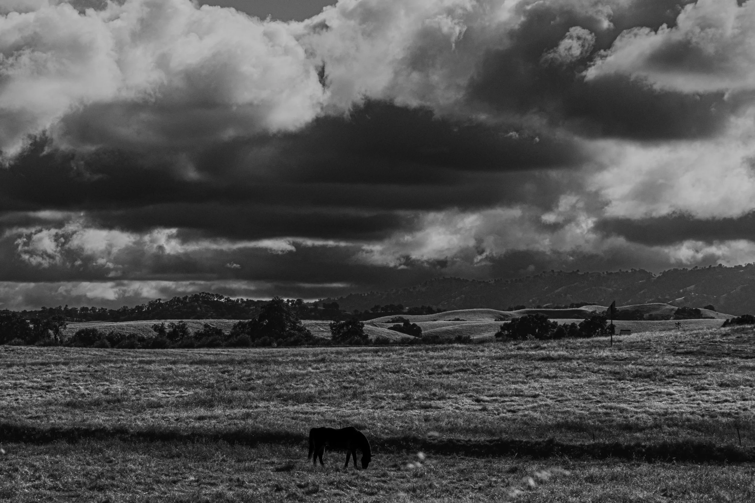 f.steigmann.Assignment.4.Black.and.White.vs.color-5.jpg