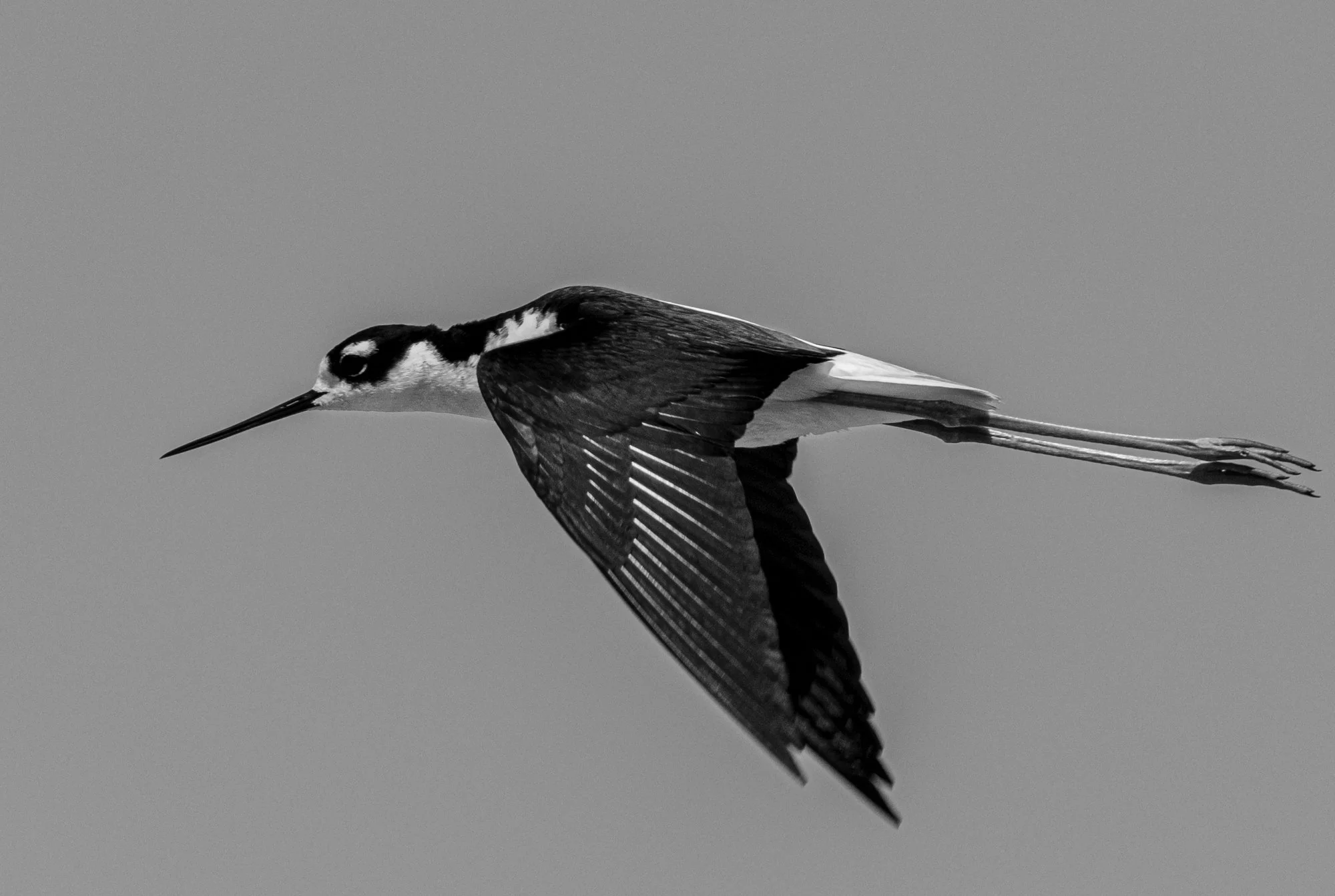 fsteigmann_portfolio-46.jpg