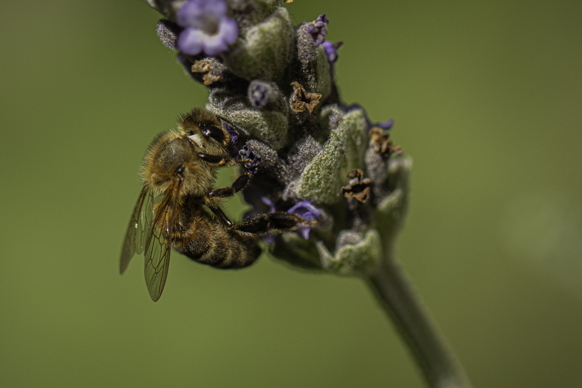 web.steigmann.20-8.jpg