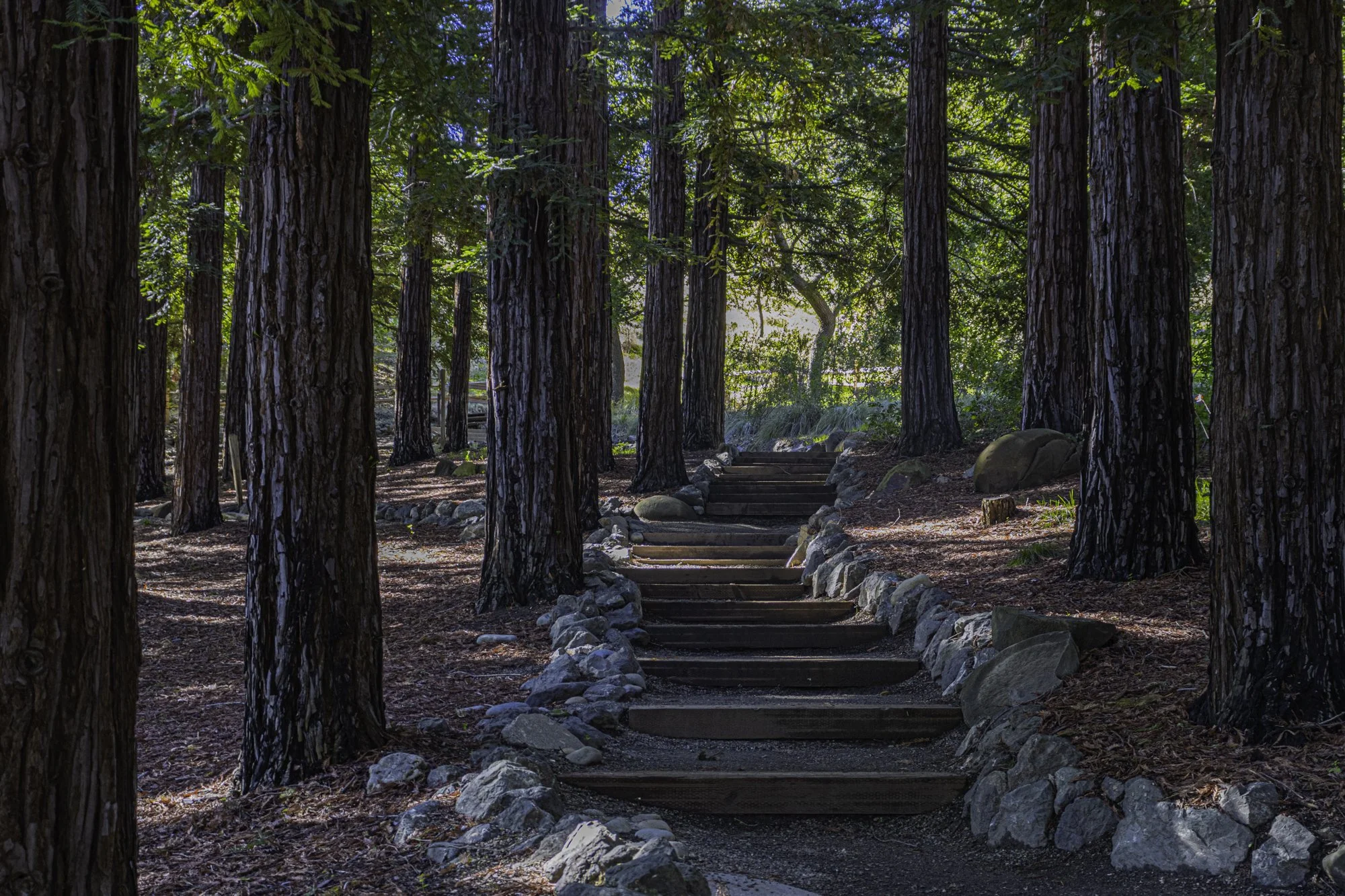 Landscape color-8.jpg