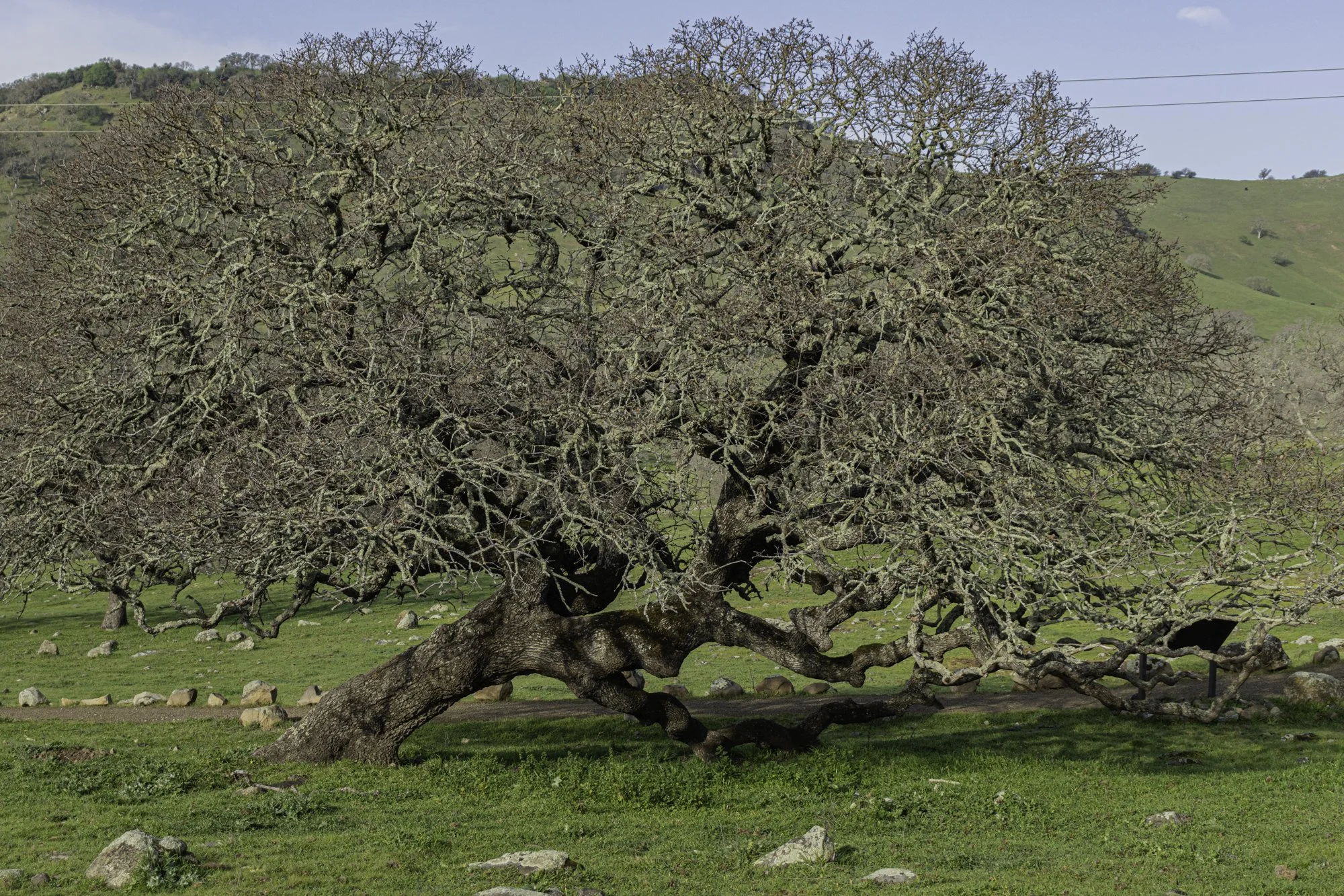 Landscape color-32.jpg