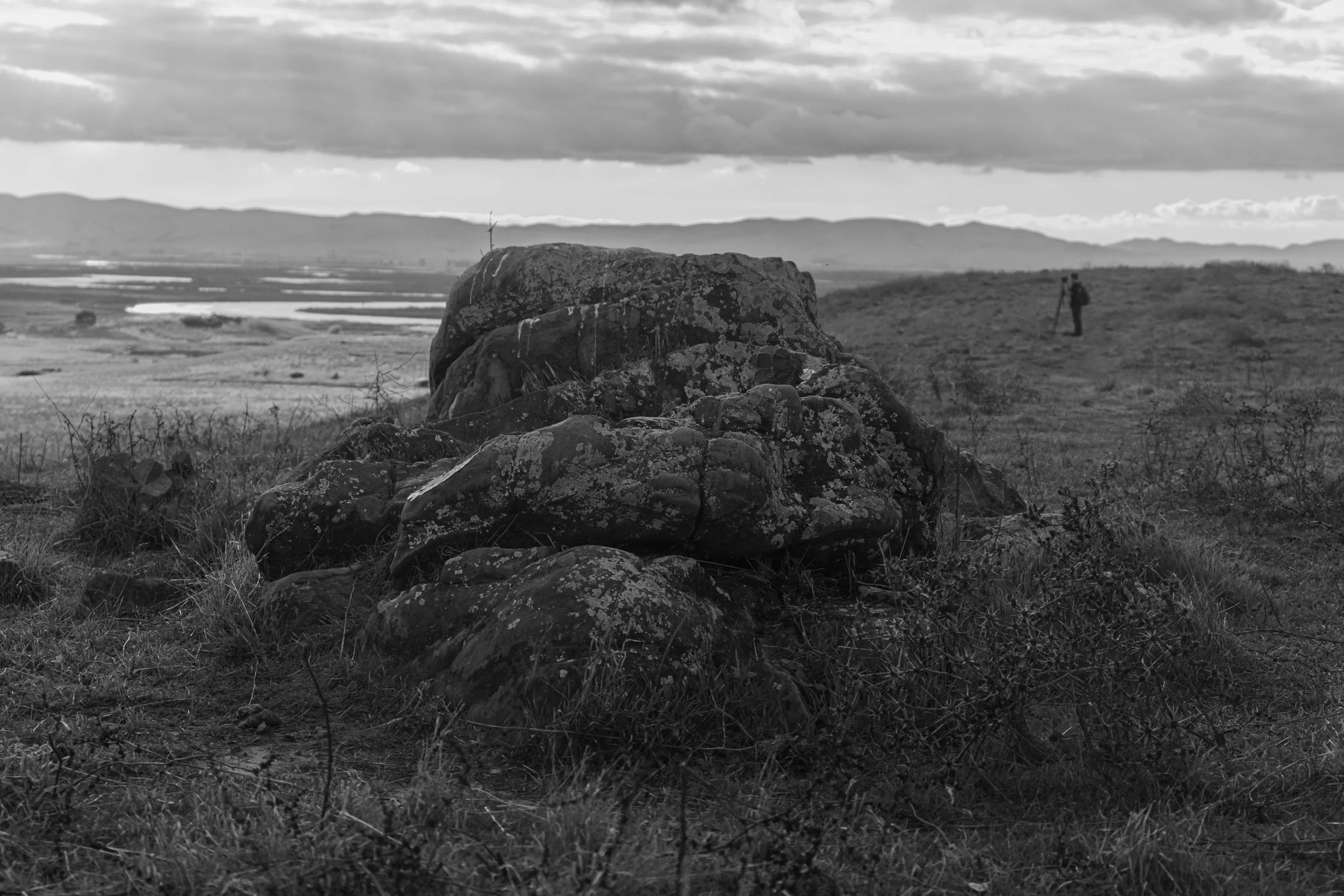 f.steigmann.Landscape.Rush Ranch1.jpg
