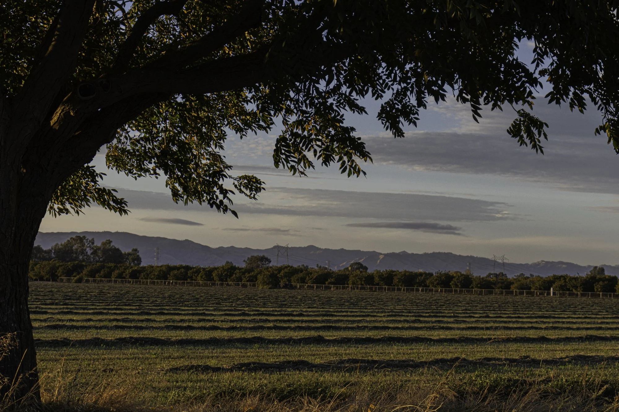 Landscape color-10.jpg