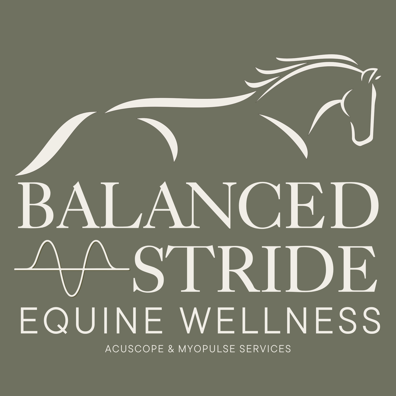 Balanced Stride Equine Wellness