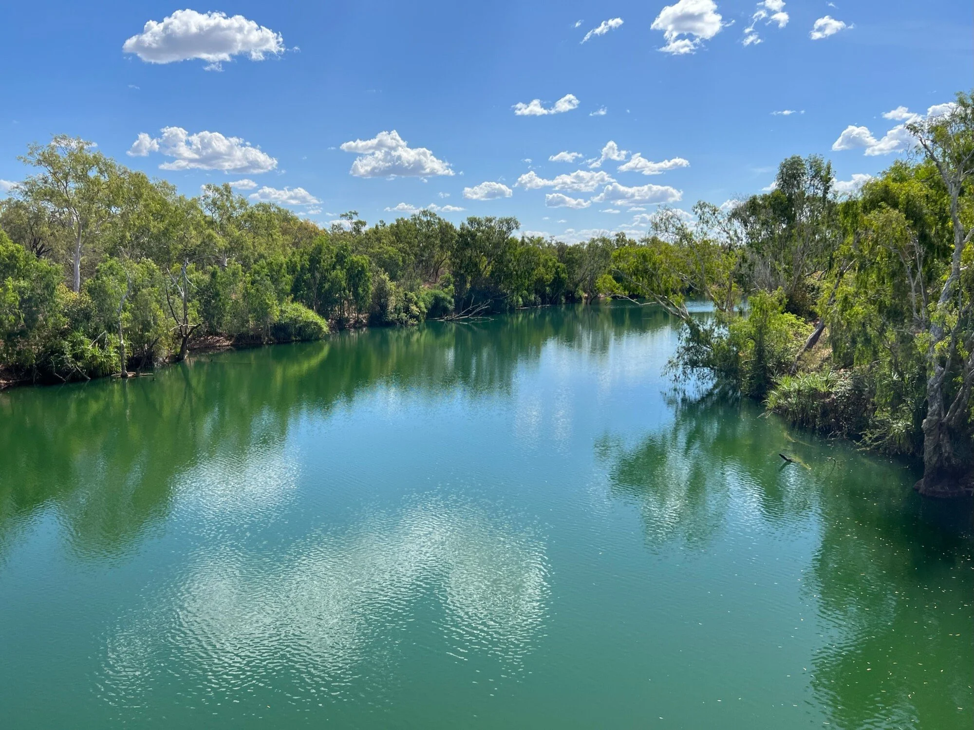 A serene river flowing through a lush green forest under a bright blue sky with scattered white clouds.