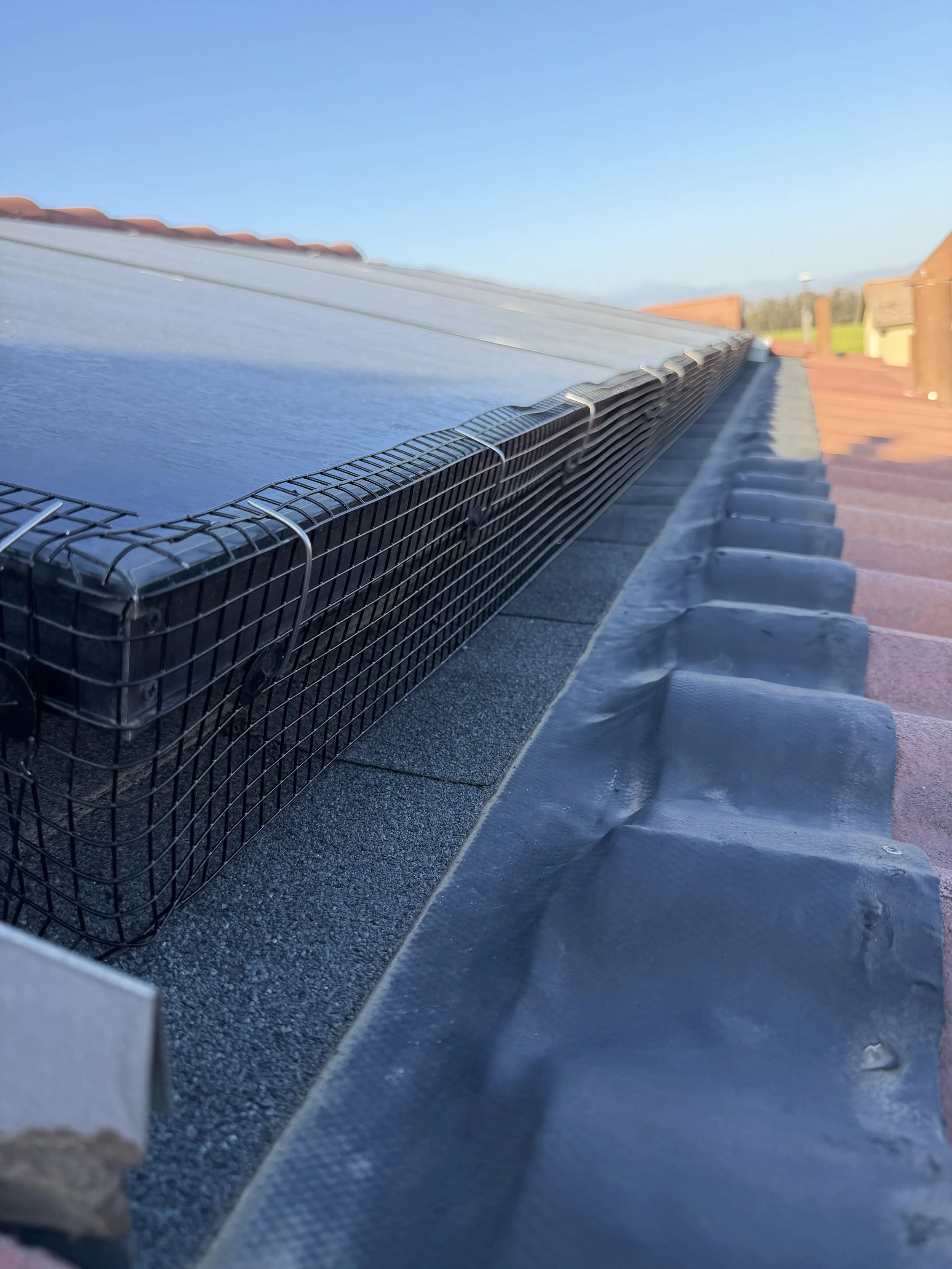 Pigeon Proofing