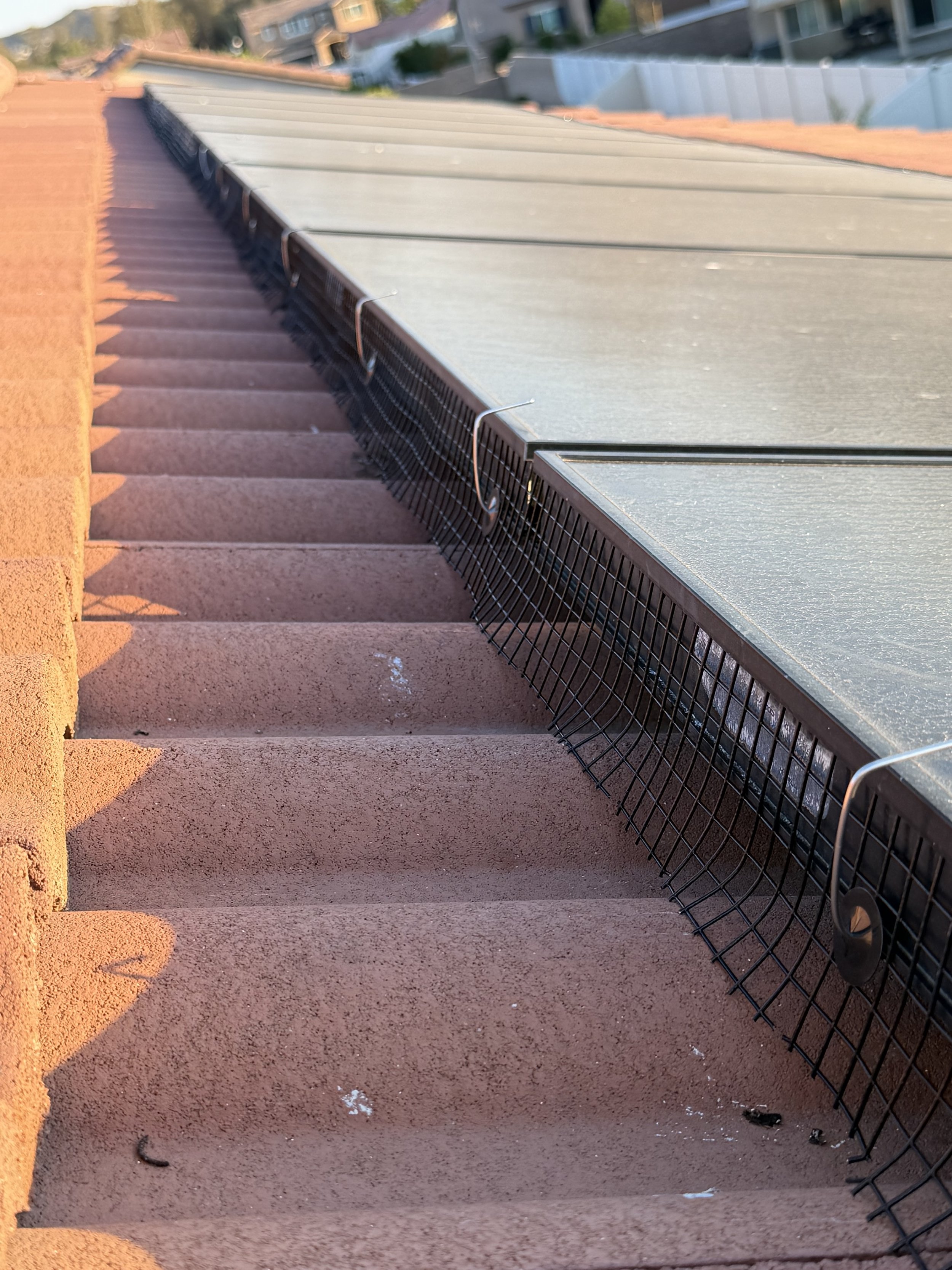 Pigeon Proofing