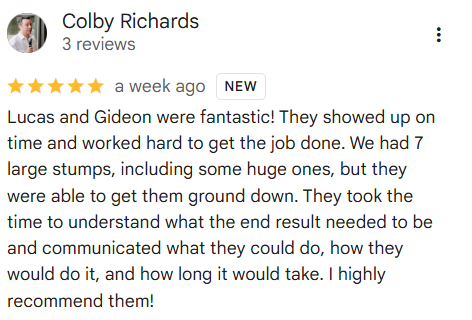5 star Google review detailing how professional of stump removal service we provide in Lacey, WA