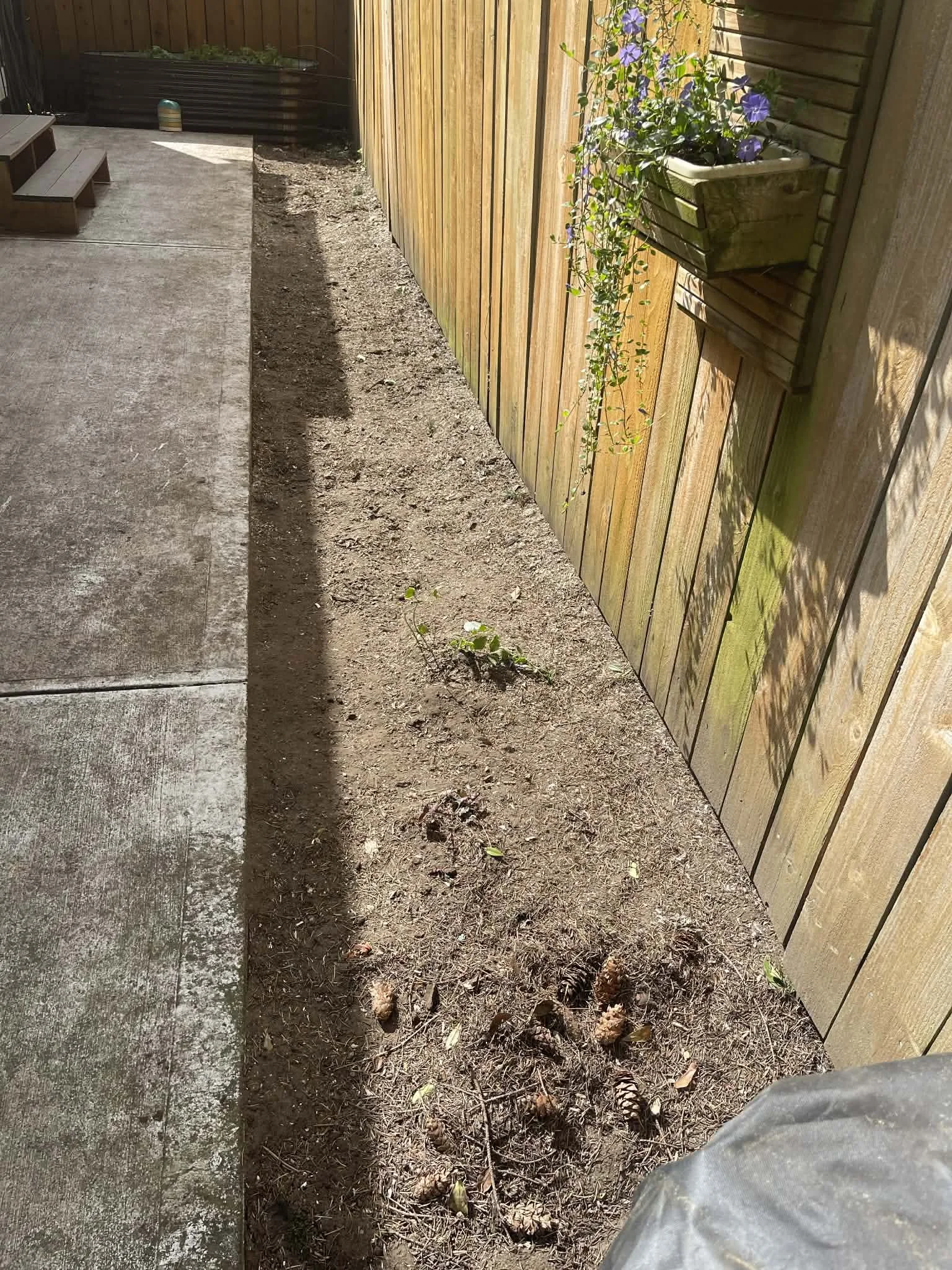 Backyard stump removal along fence row