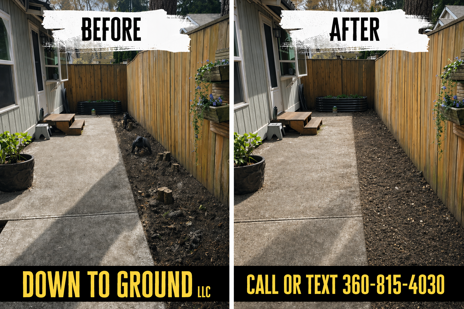 Before and after images of a backyard with a wooden fence, showing stump grinding removal in a tight access backyard in Olympia, WA