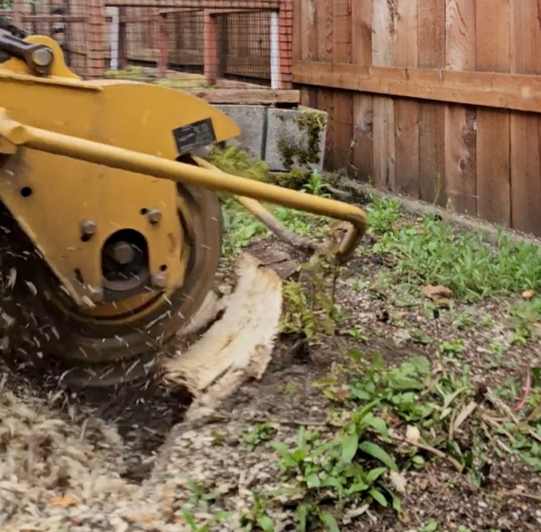 Removing stump from landscaping bed for new plants and to stop regrowth