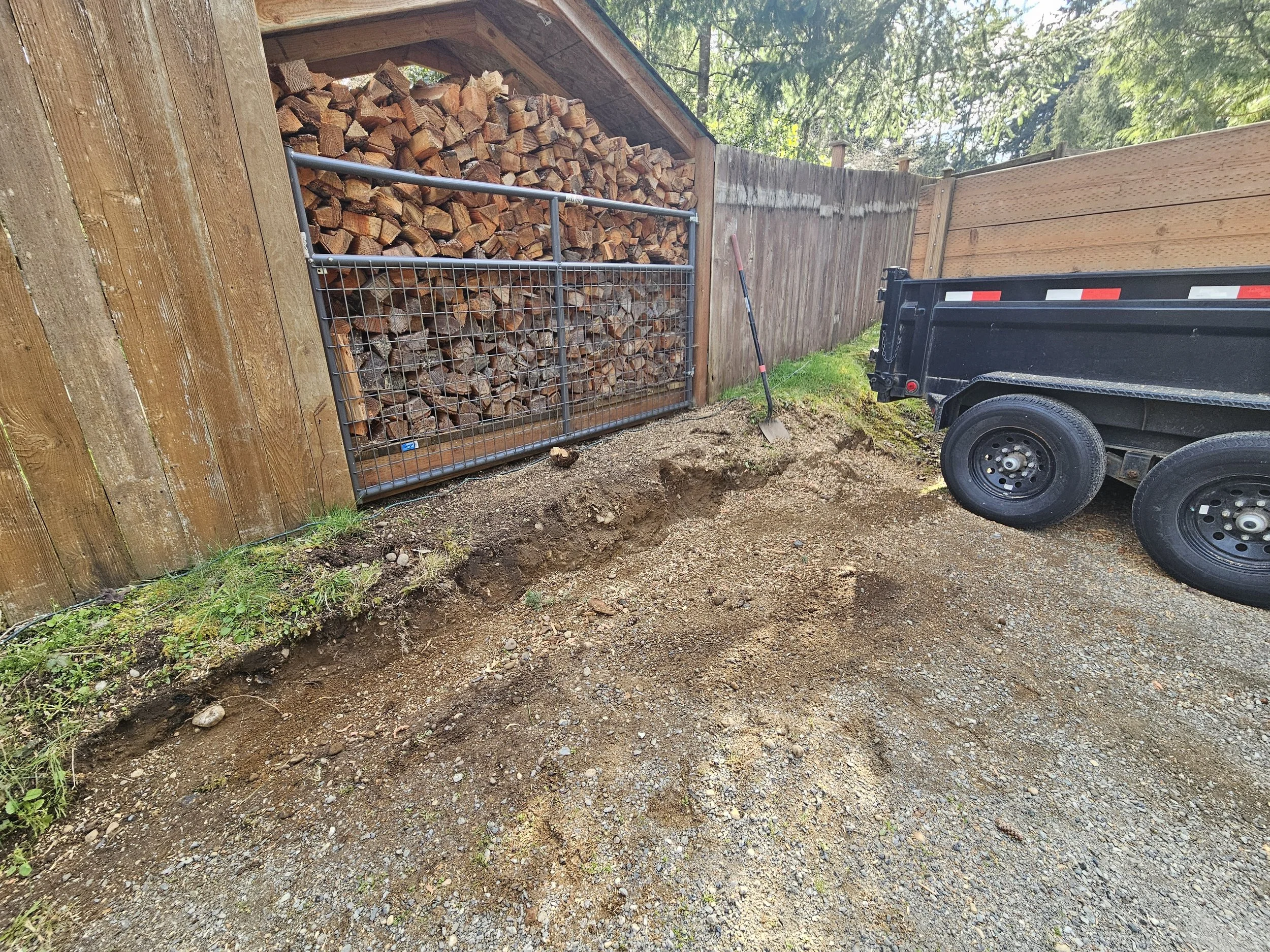 Stump grind removal to have full access of driveway in Lacey, WA