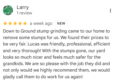 Google Review detailing how stump grinding made the yard safer for grandkids to play in Lacey, WA