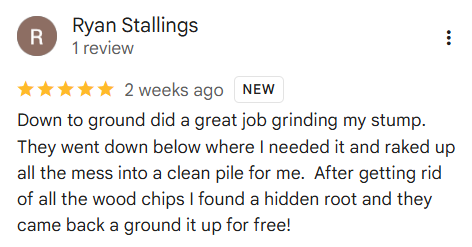 5 Star Google Review detailing how we returned after the owner dug deeper and we honored out service and ground the stump deeper
