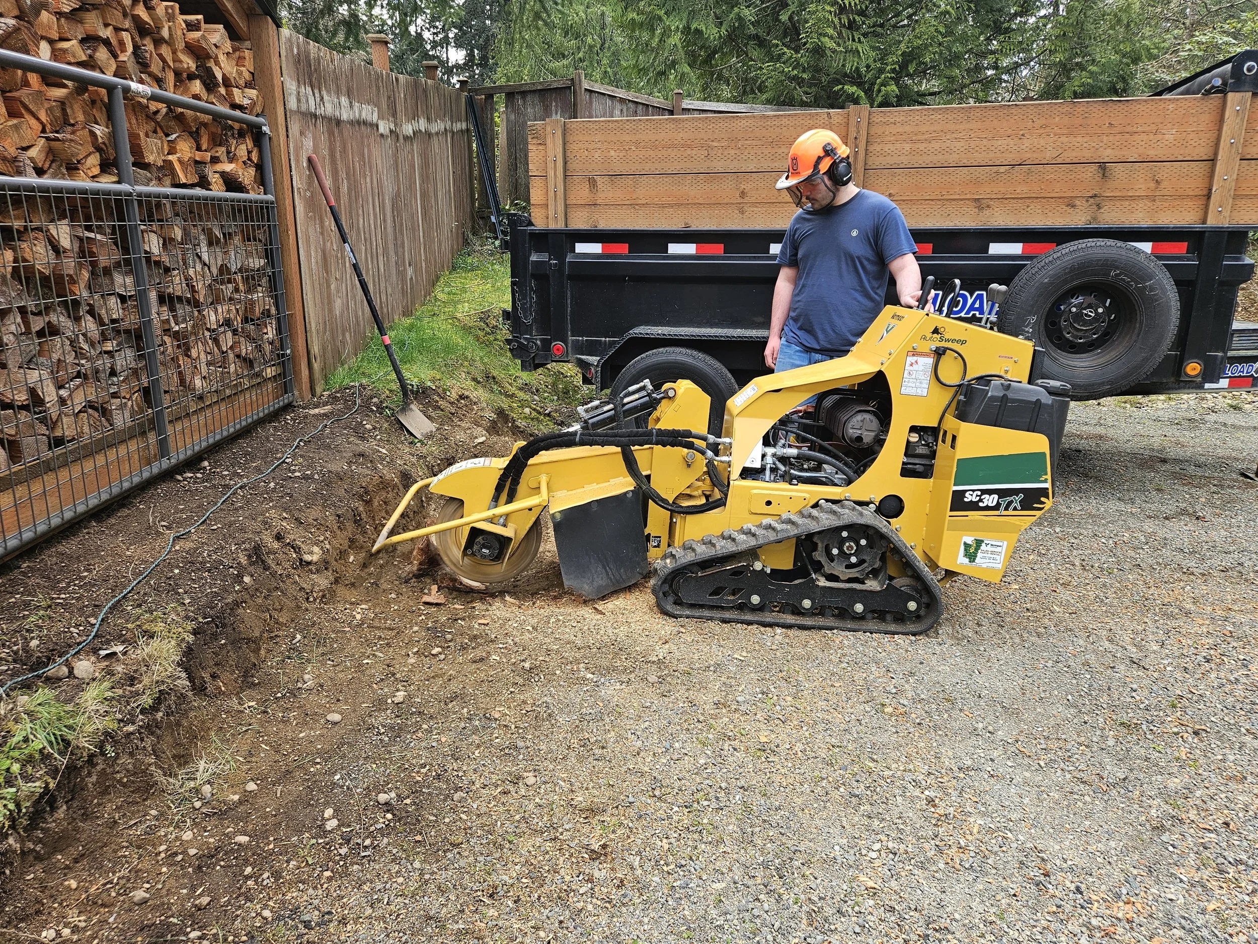 Removing stump for better access to woodshed