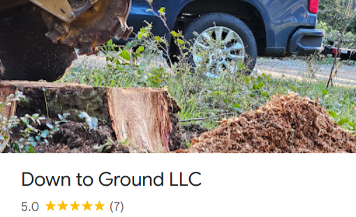 Link to 5 Star Google Business Profile