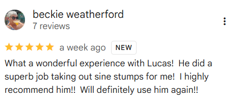 5 Star Google Review detailing good work by Down to Ground LLC for stump grinding in small backyard in Olympia, WA