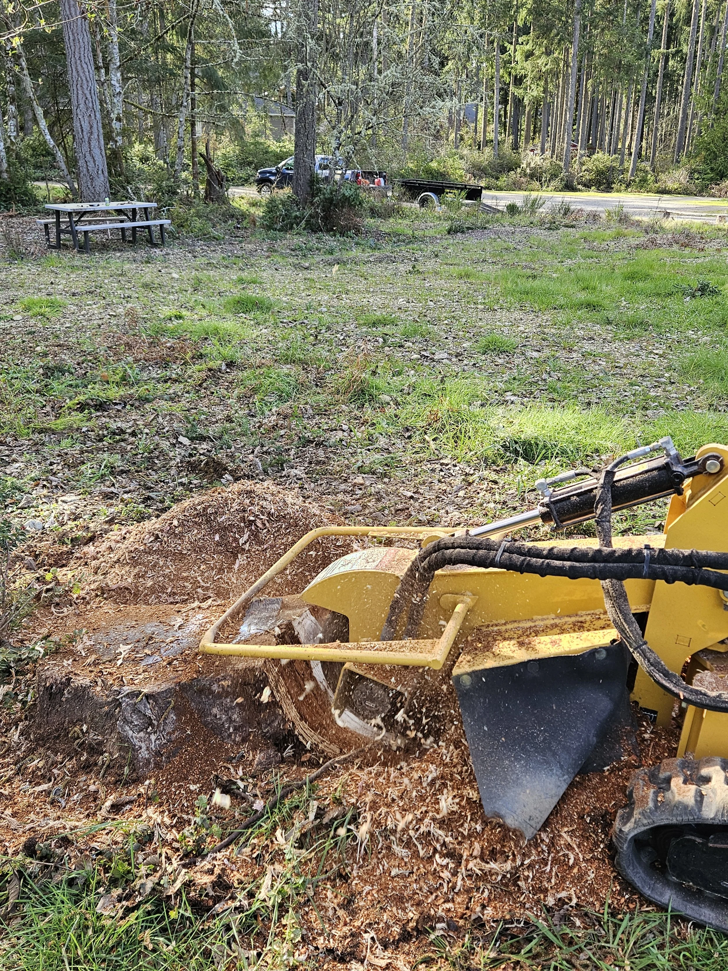 Stump removal in Thurston Co, WA to make an area safer for kids to play