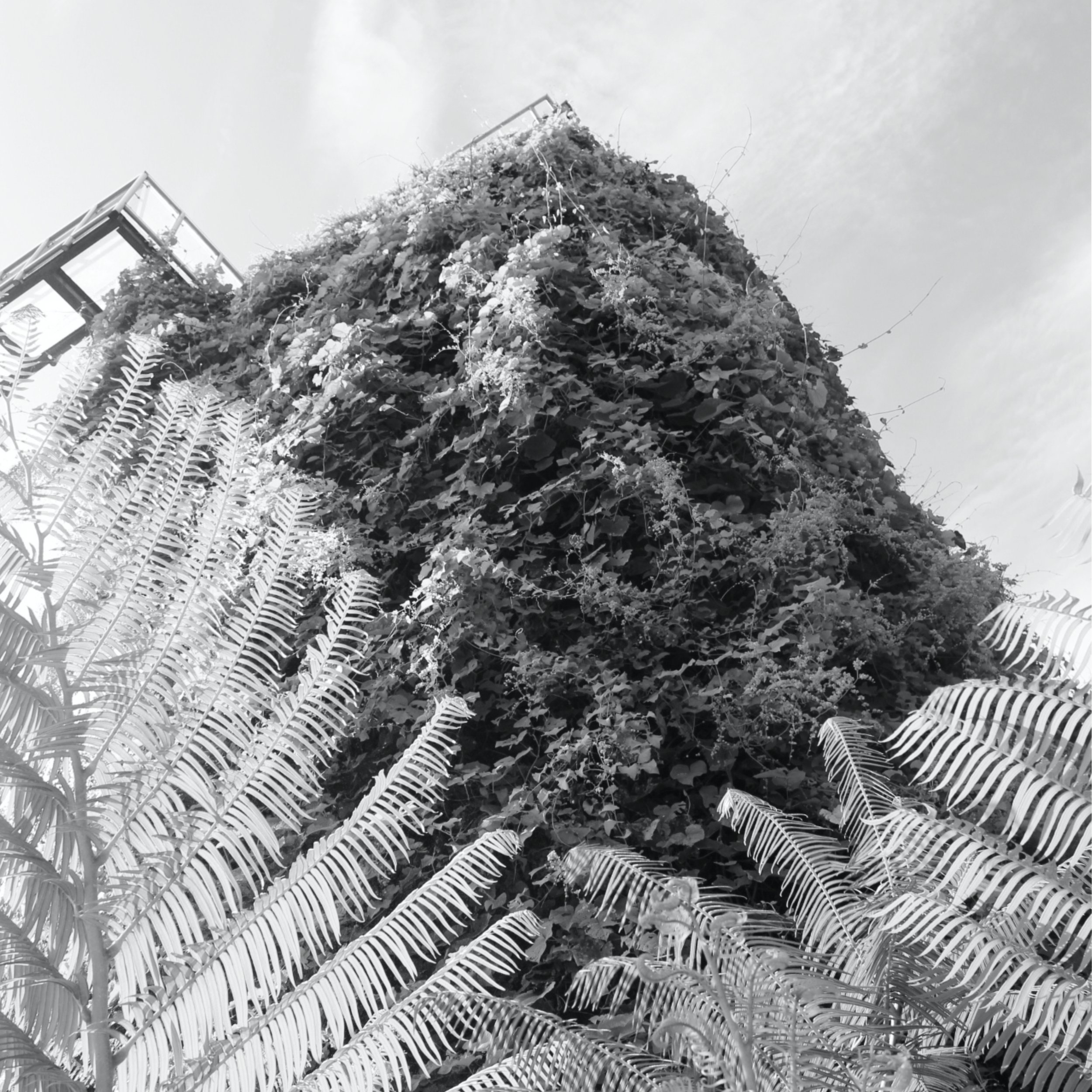 Bali Tower 2.jpg
