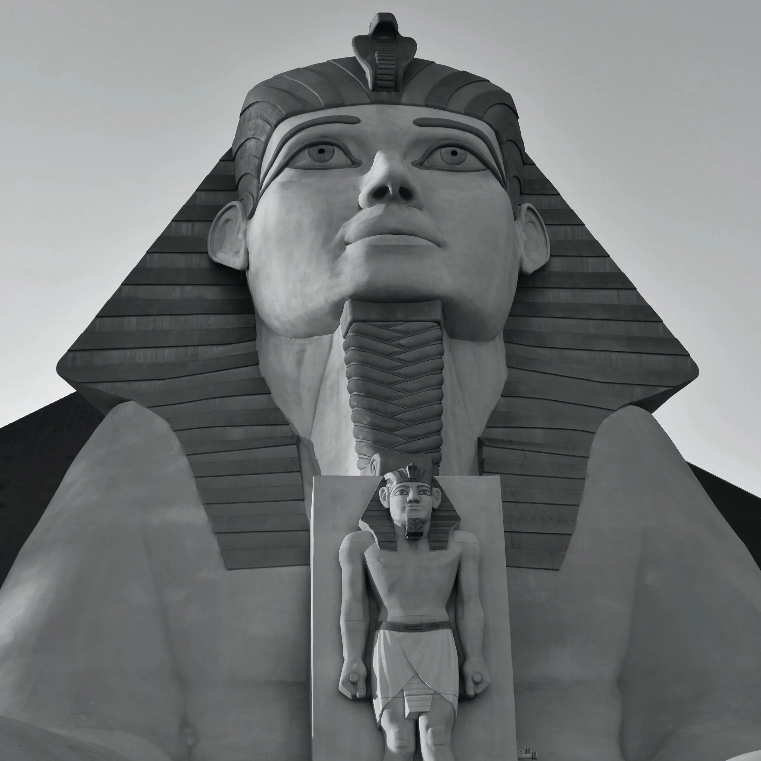 lv sphynx 2.jpg