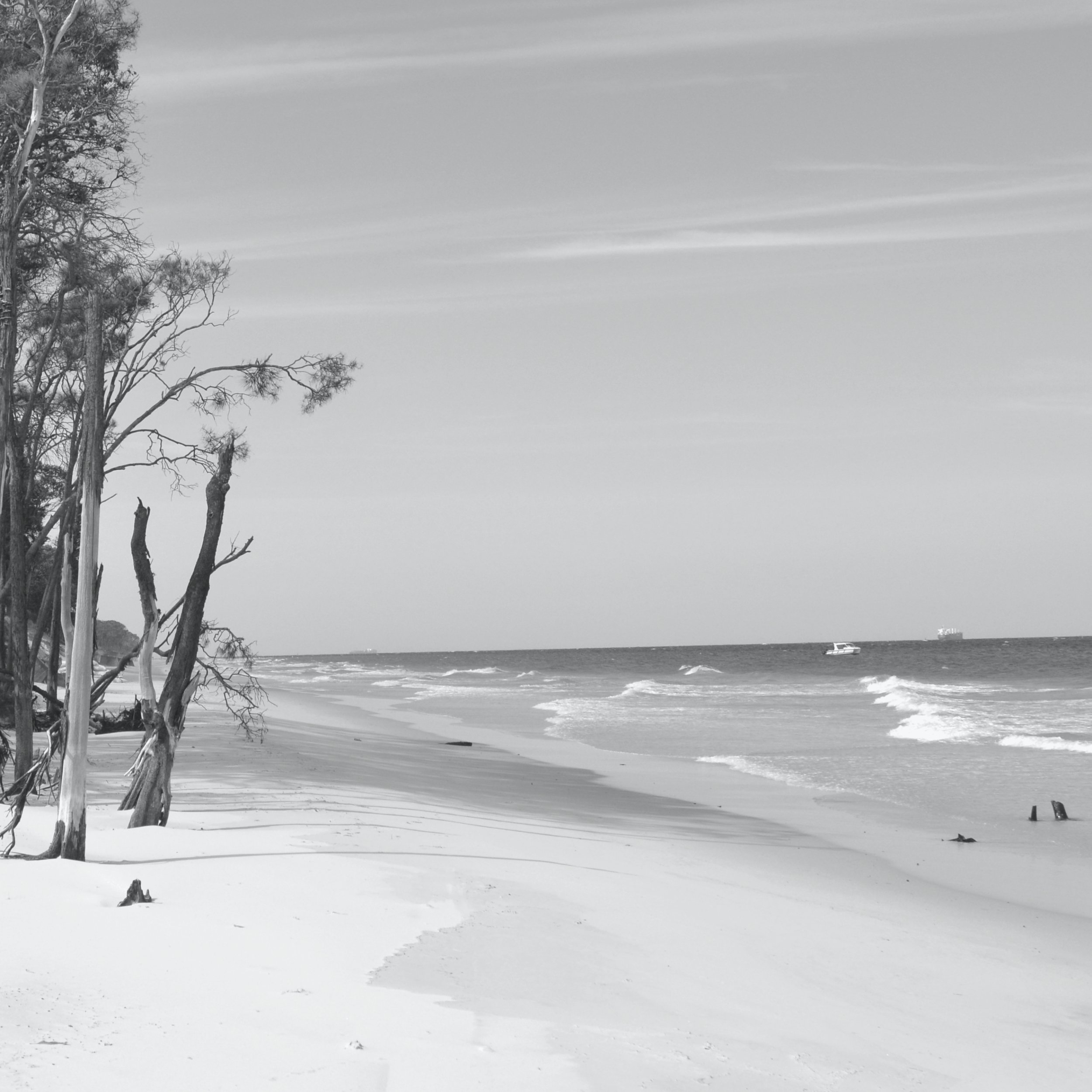 Shoreline.jpg