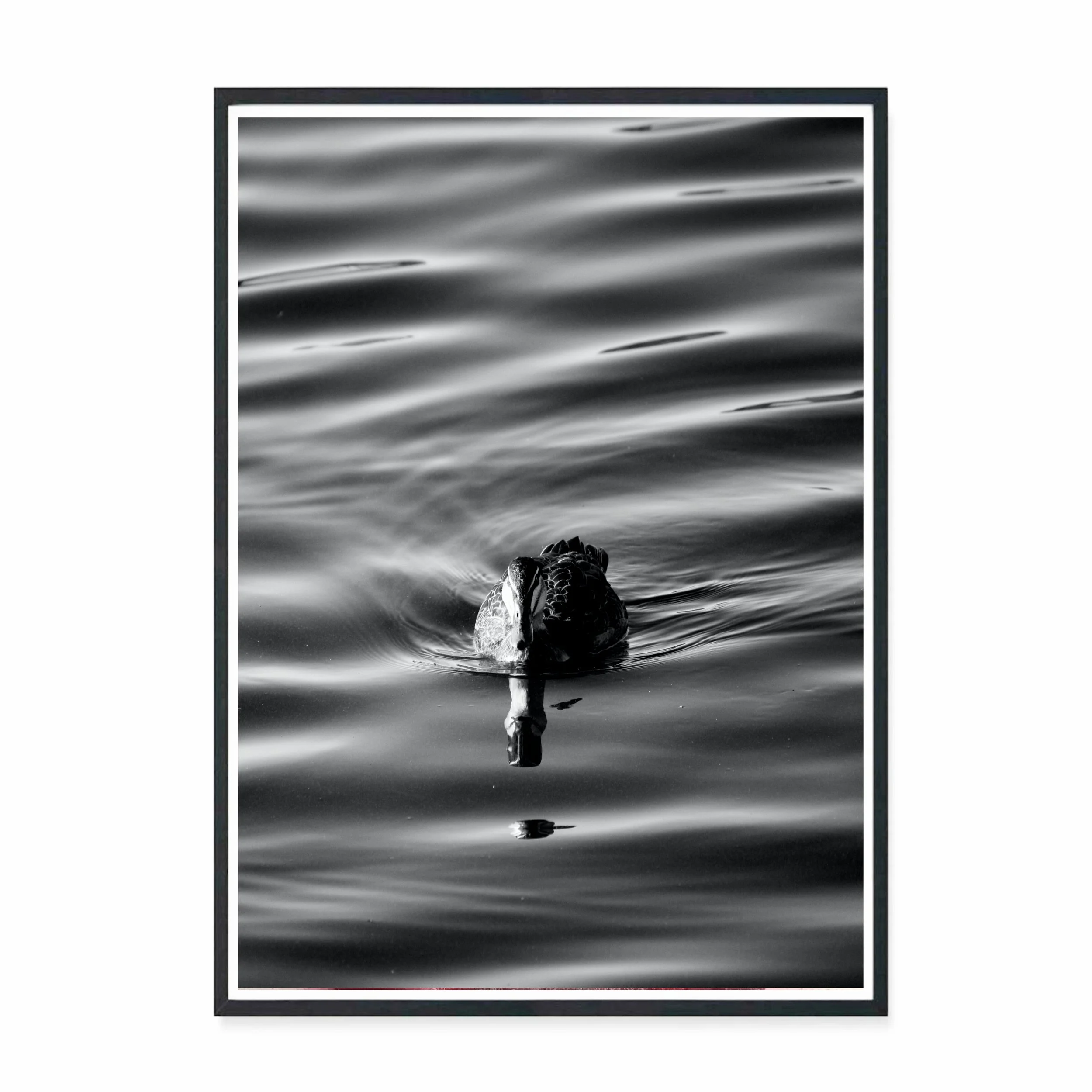 Ripples BW.jpg