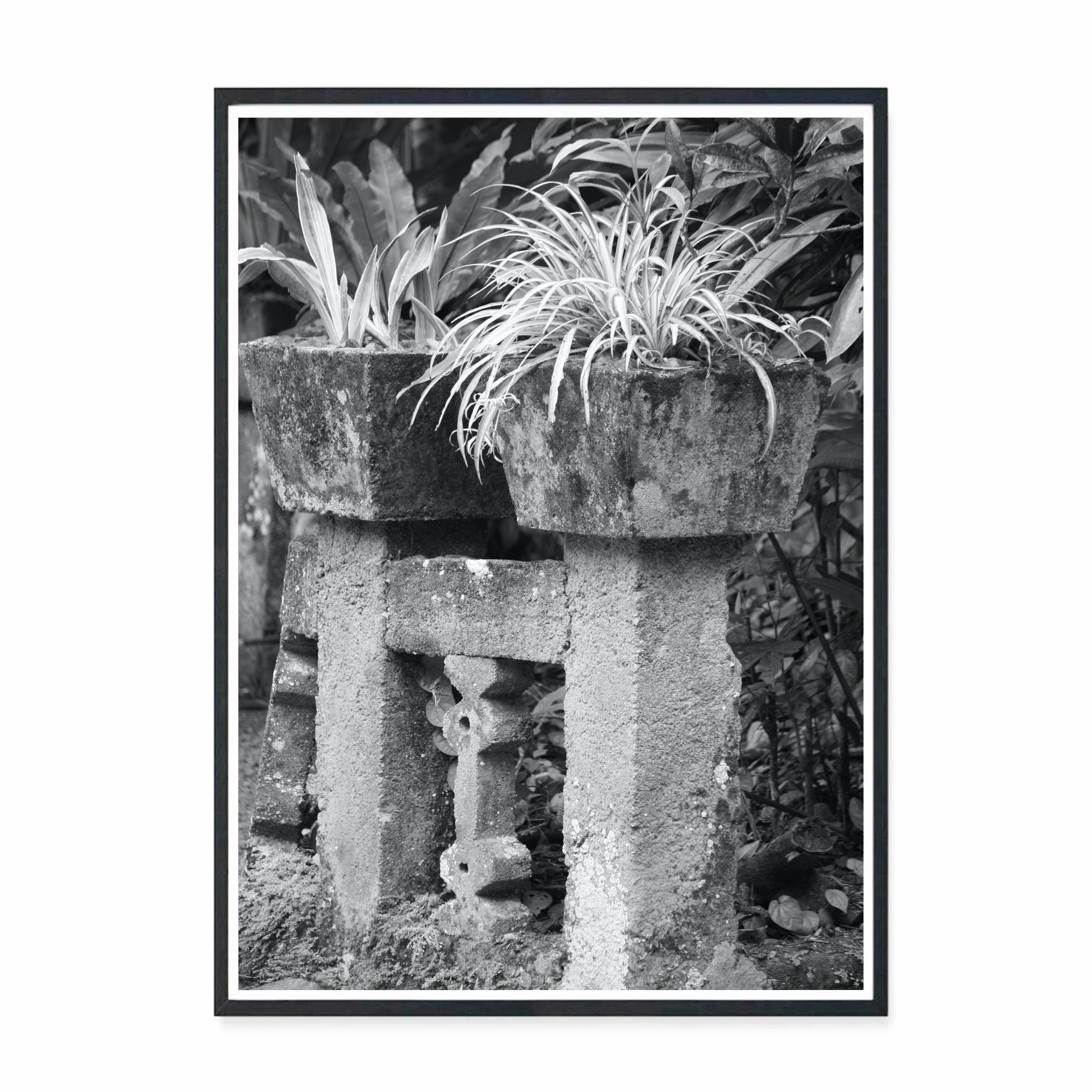 Paronella Pots bw.jpg