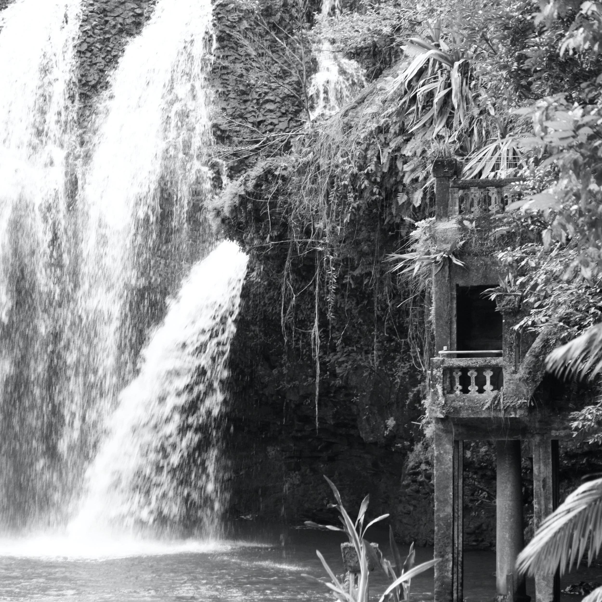 Paronella Falls 2.jpg